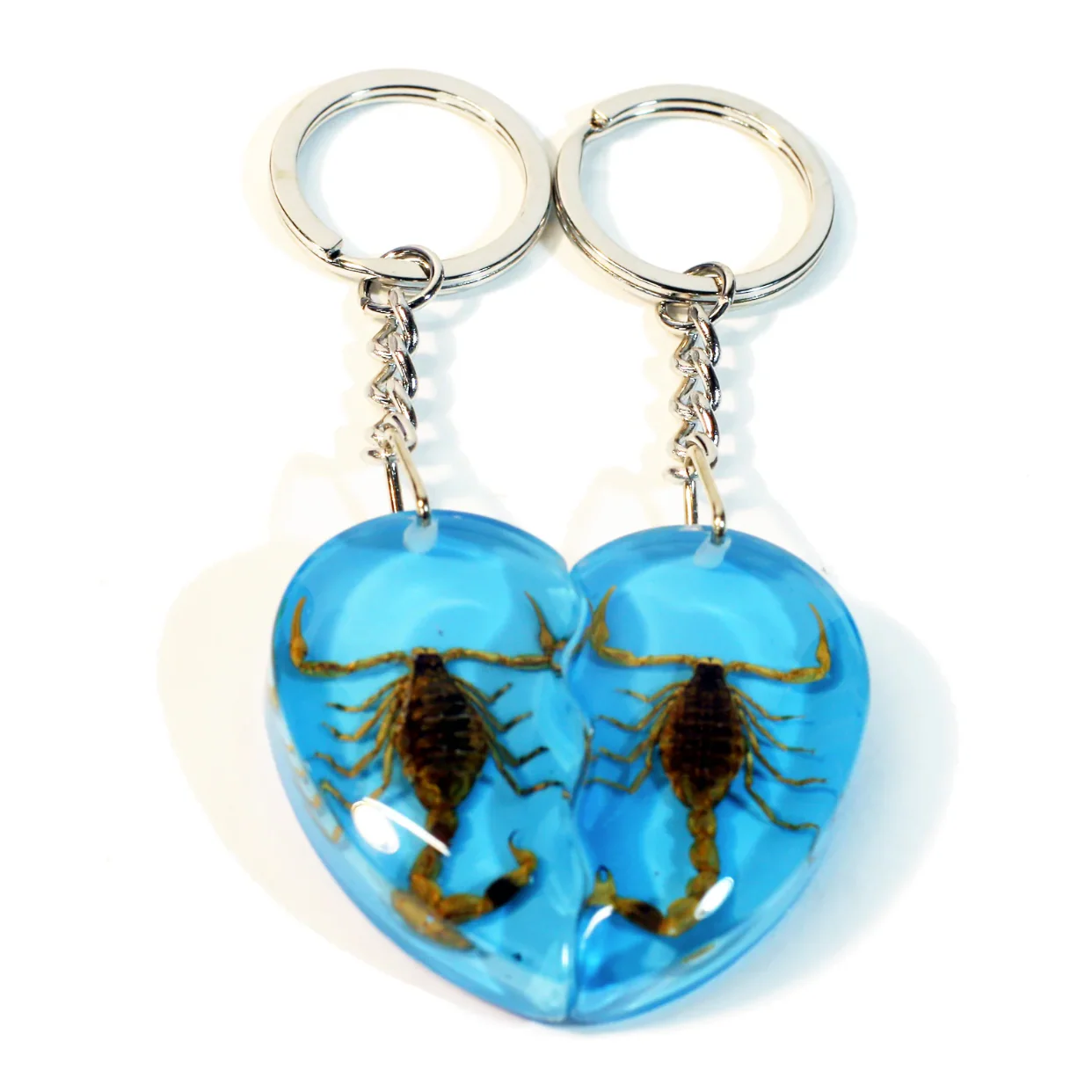 Real Scorpion Friendship Keychain in Acrylic - Single - Image 7