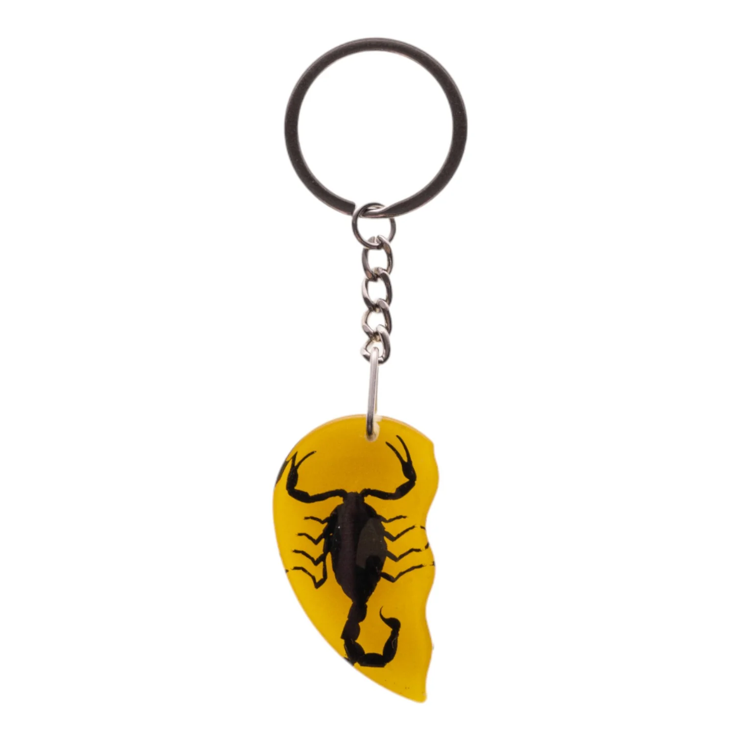 Real Scorpion Friendship Keychain in Acrylic - Single - Image 8