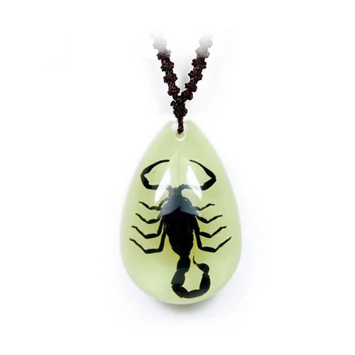 Real Black Scorpion in Acrylic Necklace - Image 2
