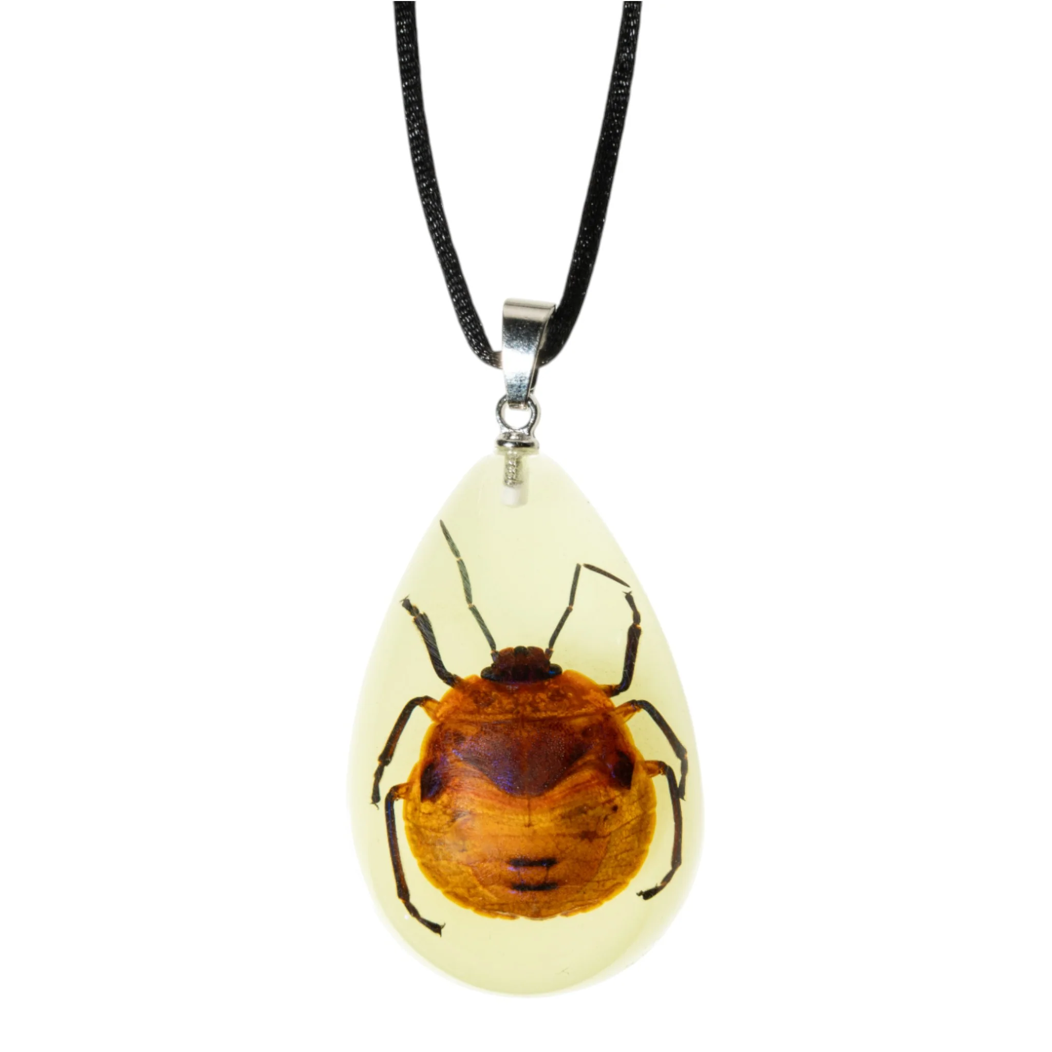 Real Shield Bug in Acrylic Necklace - Image 4