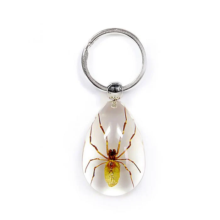 Real Acrylic Spider Keychain - Image 2