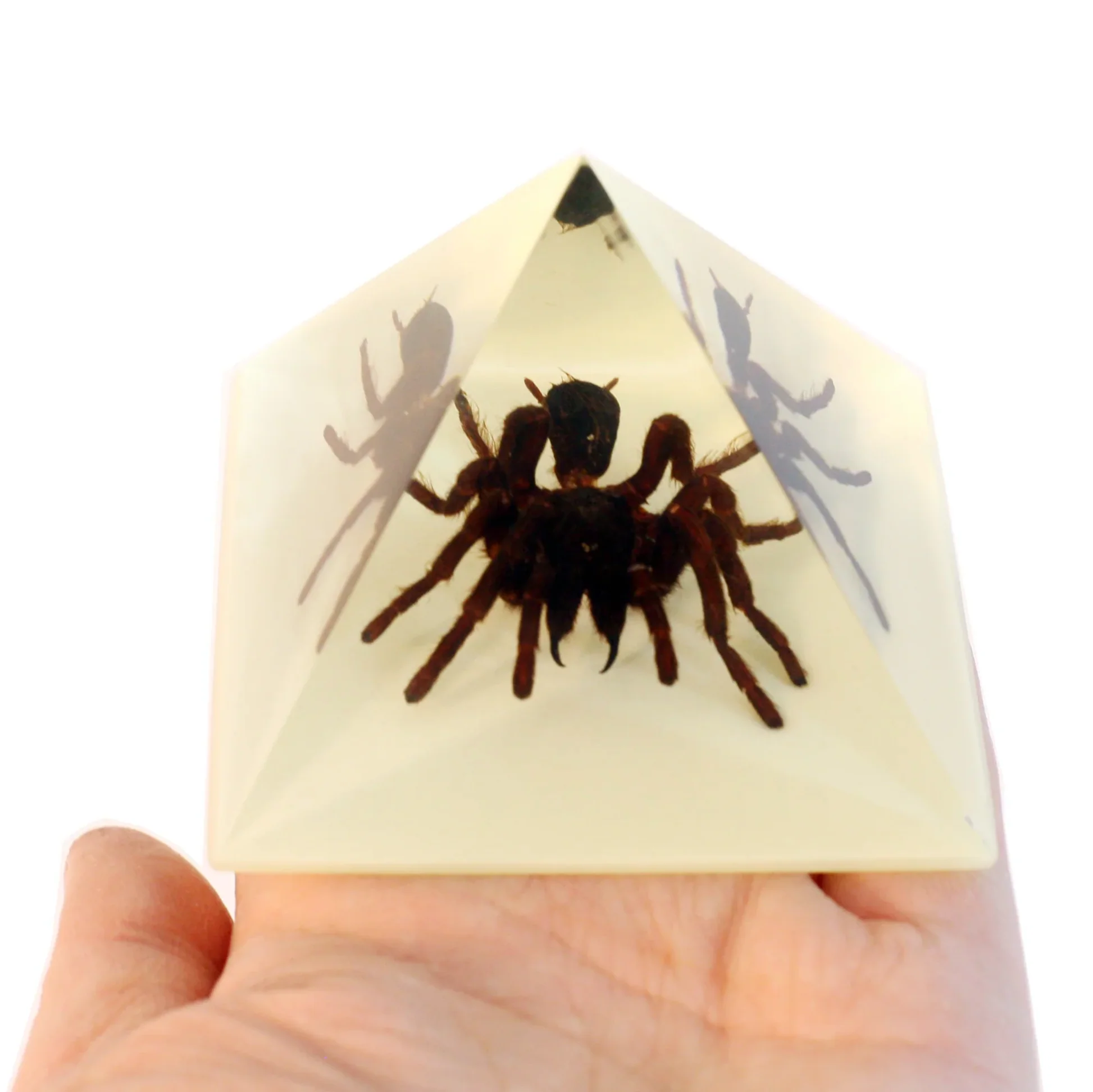 Real Tarantula in Acrylic Pyramid Paperweight (Glow-in-the-Dark) - Image 3