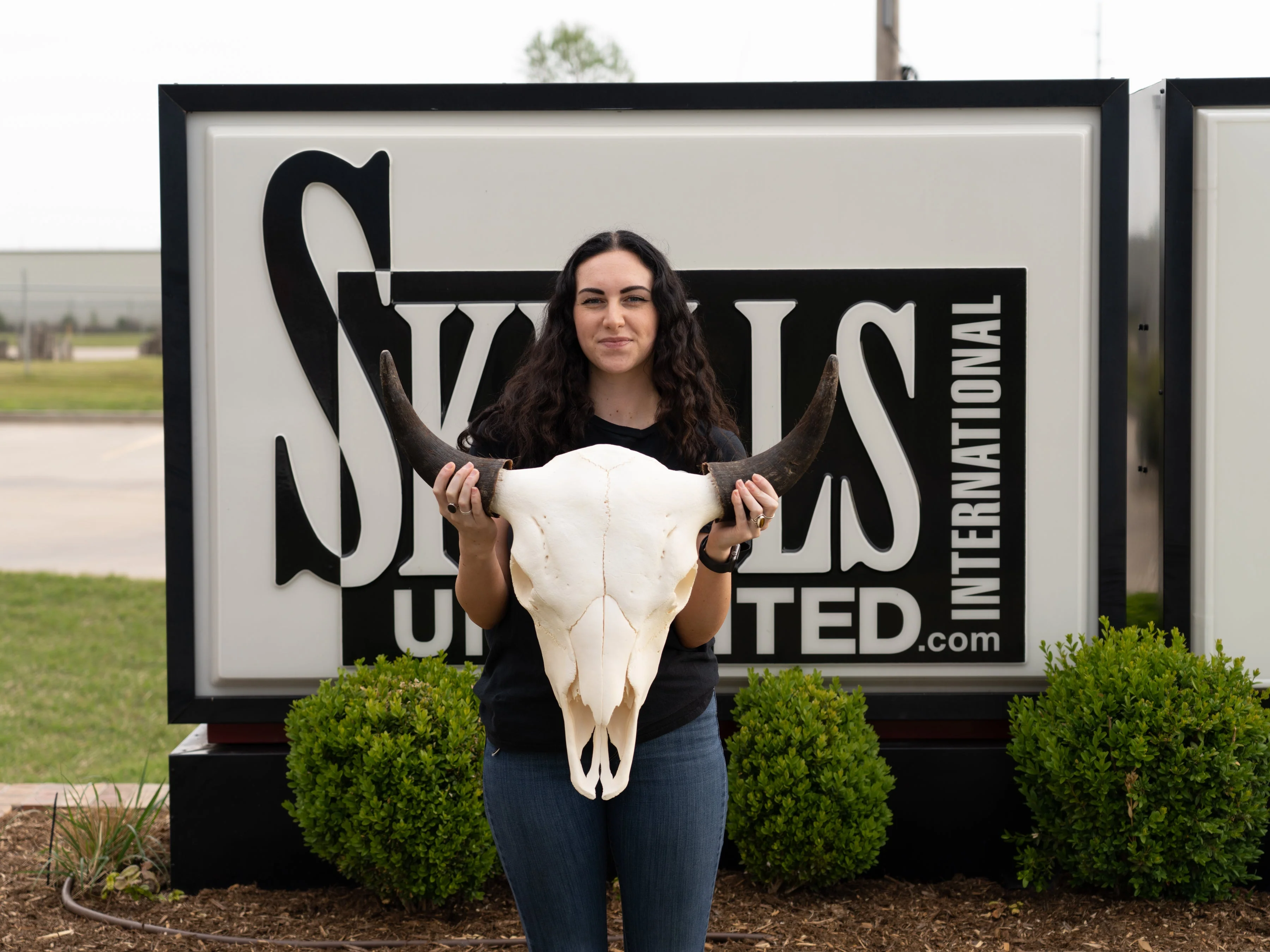 Real American Bison Skull - Image 3