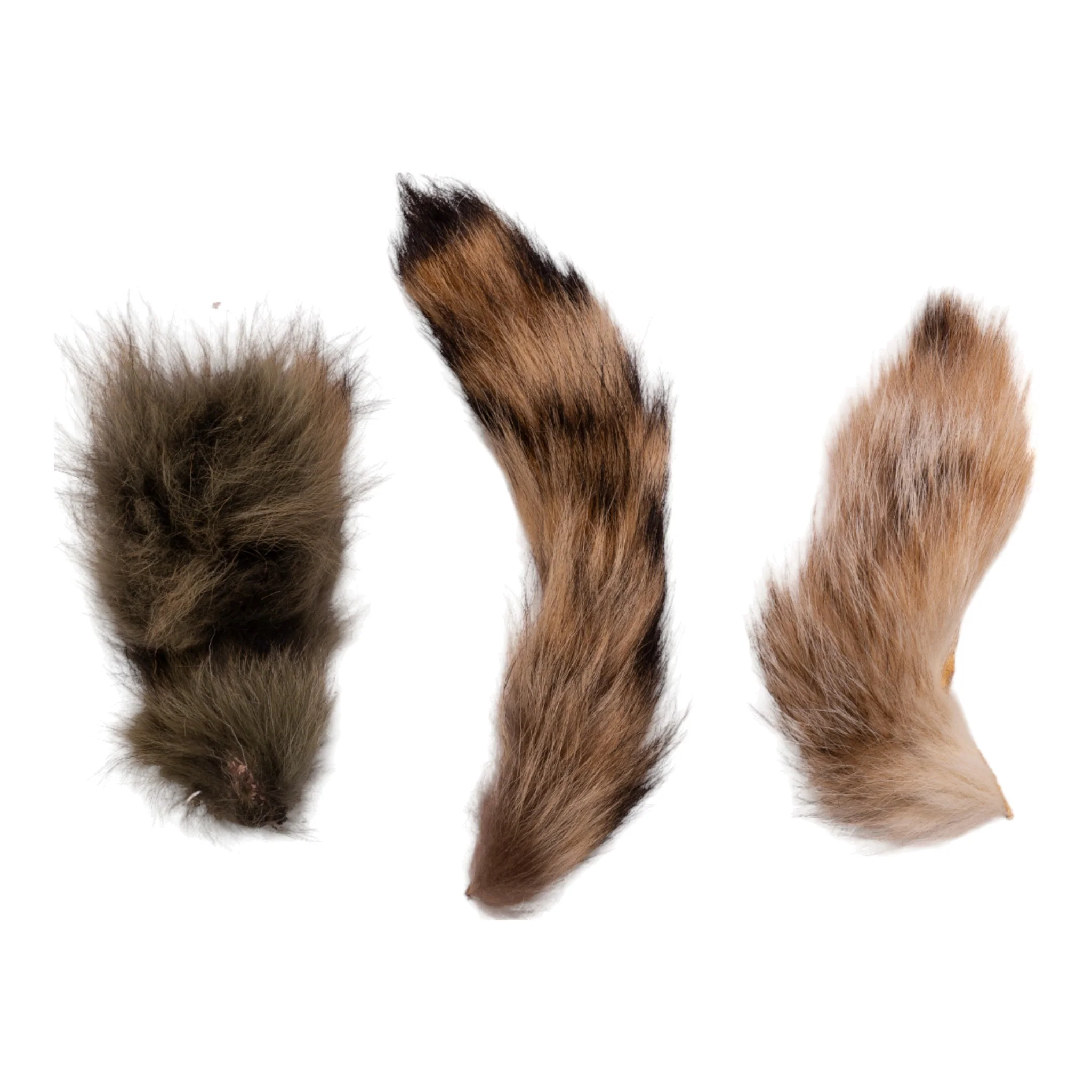 Real Bag-O-Animal Hides - Image 5