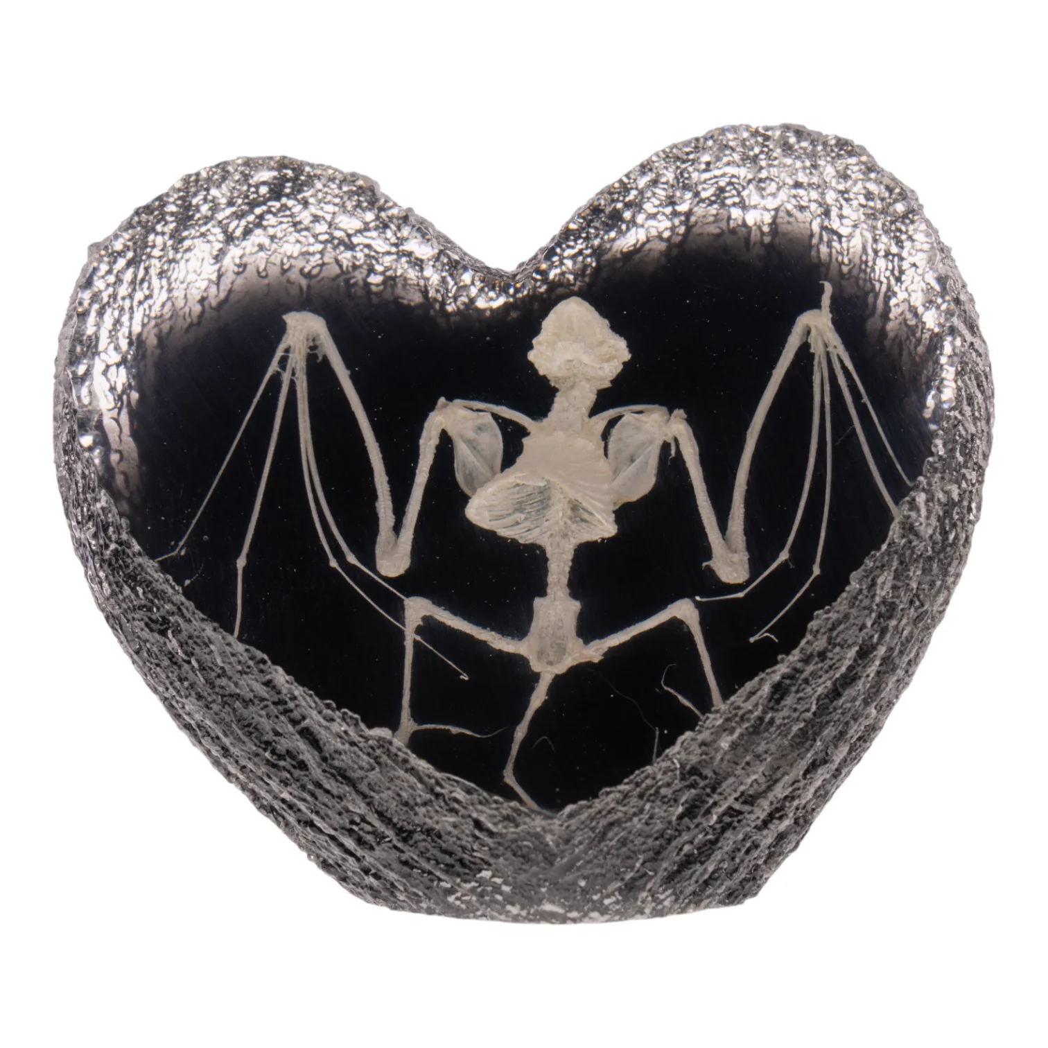 Real Bat Skeleton in Acrylic Heart - Image 3