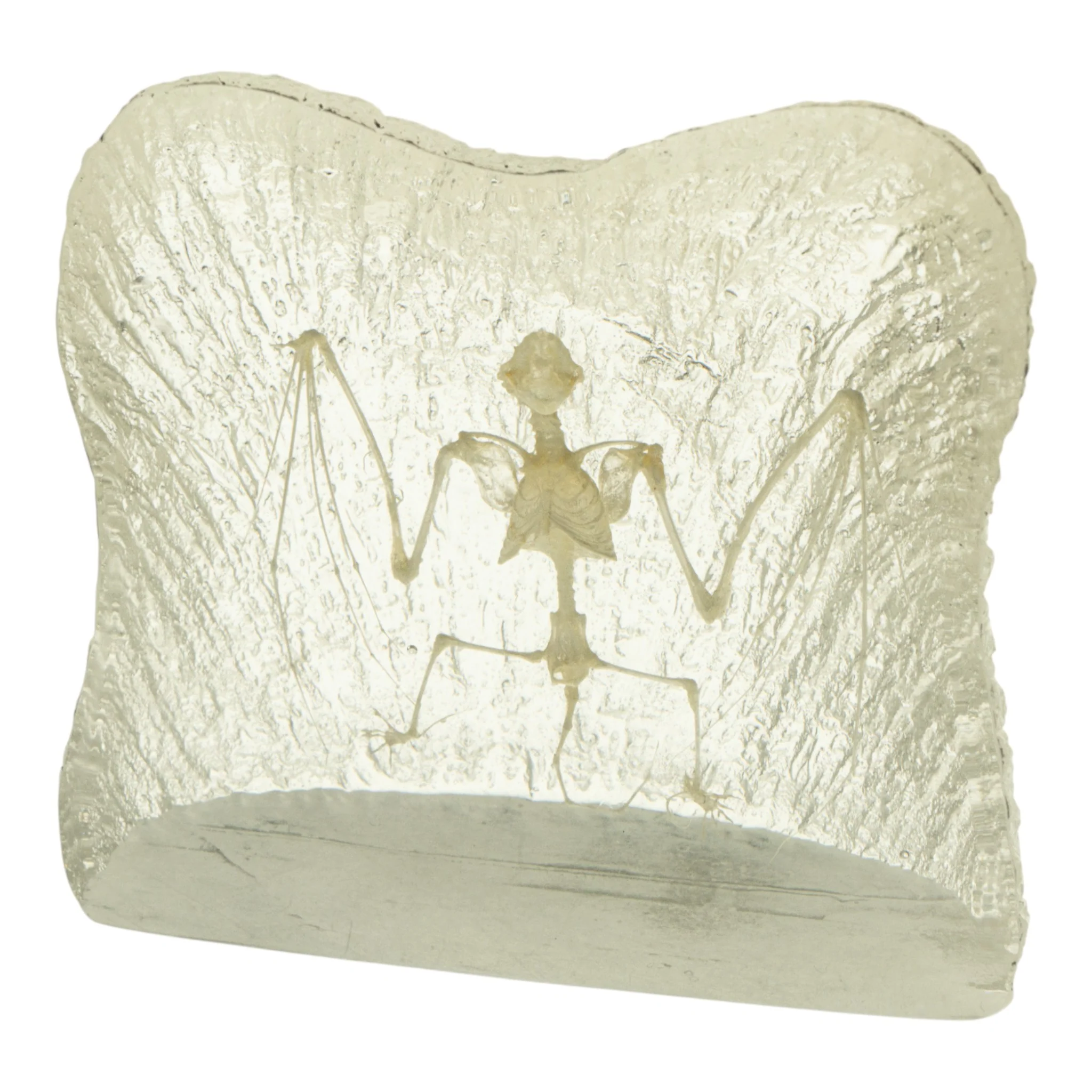 Real Bat Skeleton in Acrylic Paperweight - Textured Background - Image 2