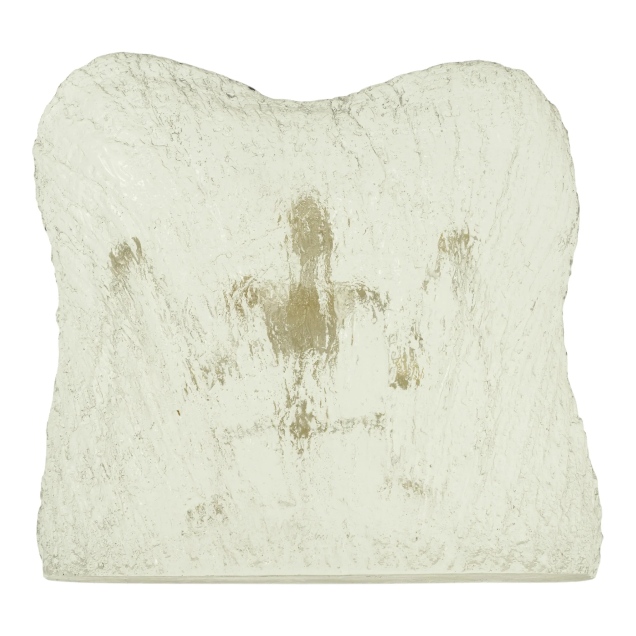 Real Bat Skeleton in Acrylic Paperweight - Textured Background - Image 3