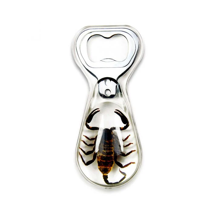Real Black Scorpion in Acrylic Bottle Opener - Image 2