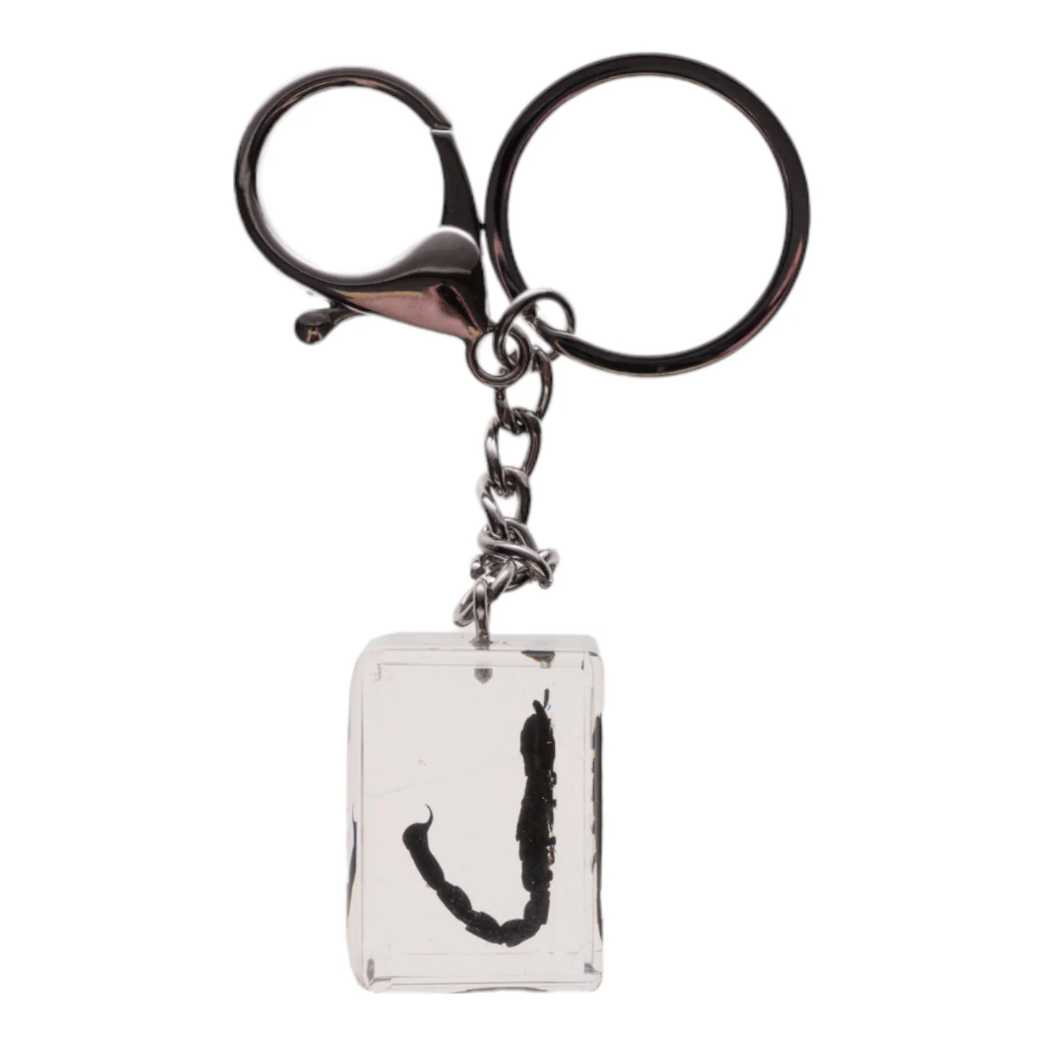 Real Black Scorpion in Acrylic Cube Keychain - Image 2