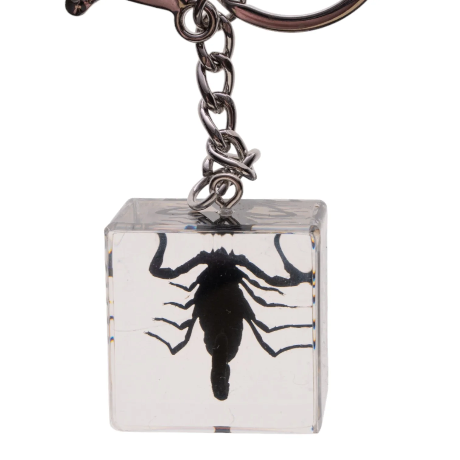 Real Black Scorpion in Acrylic Cube Keychain - Image 5