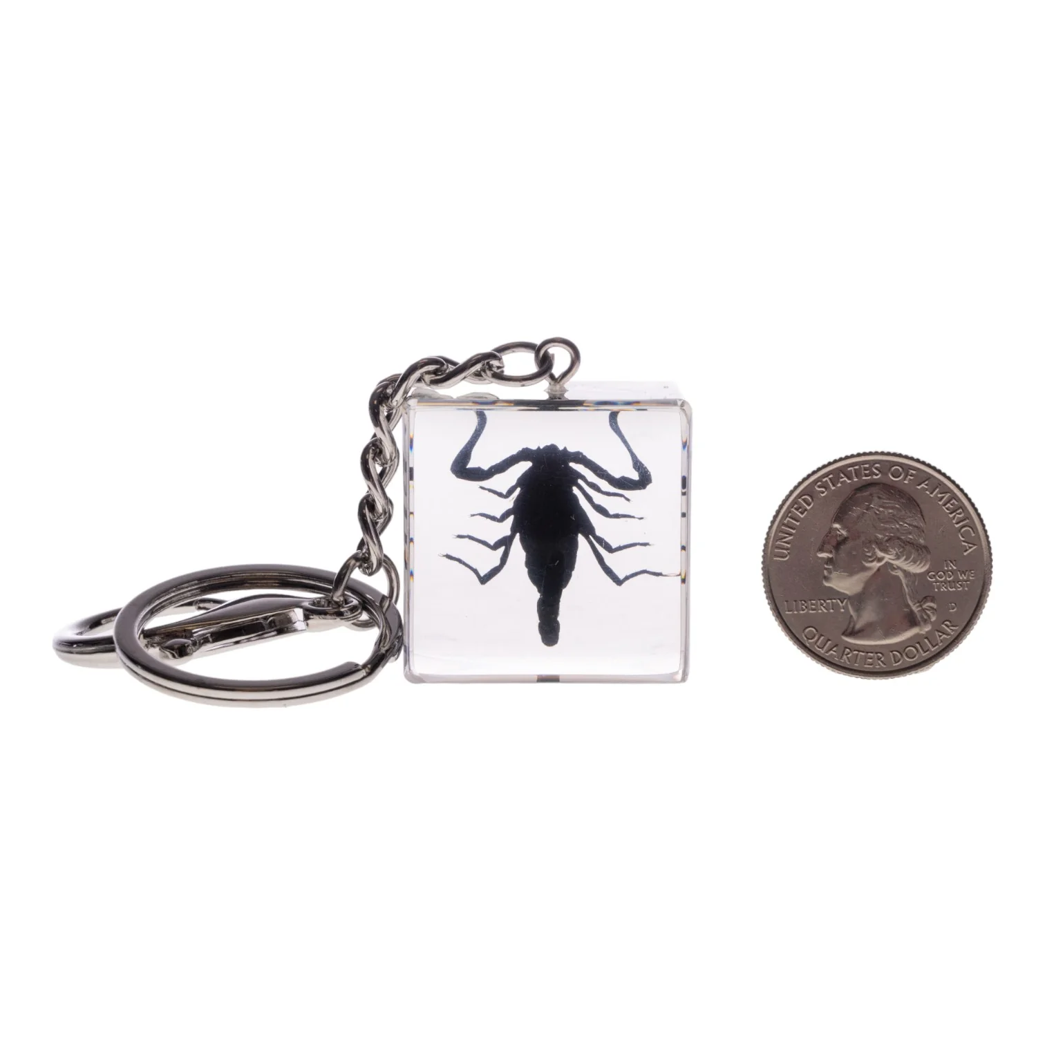 Real Black Scorpion in Acrylic Cube Keychain - Image 6