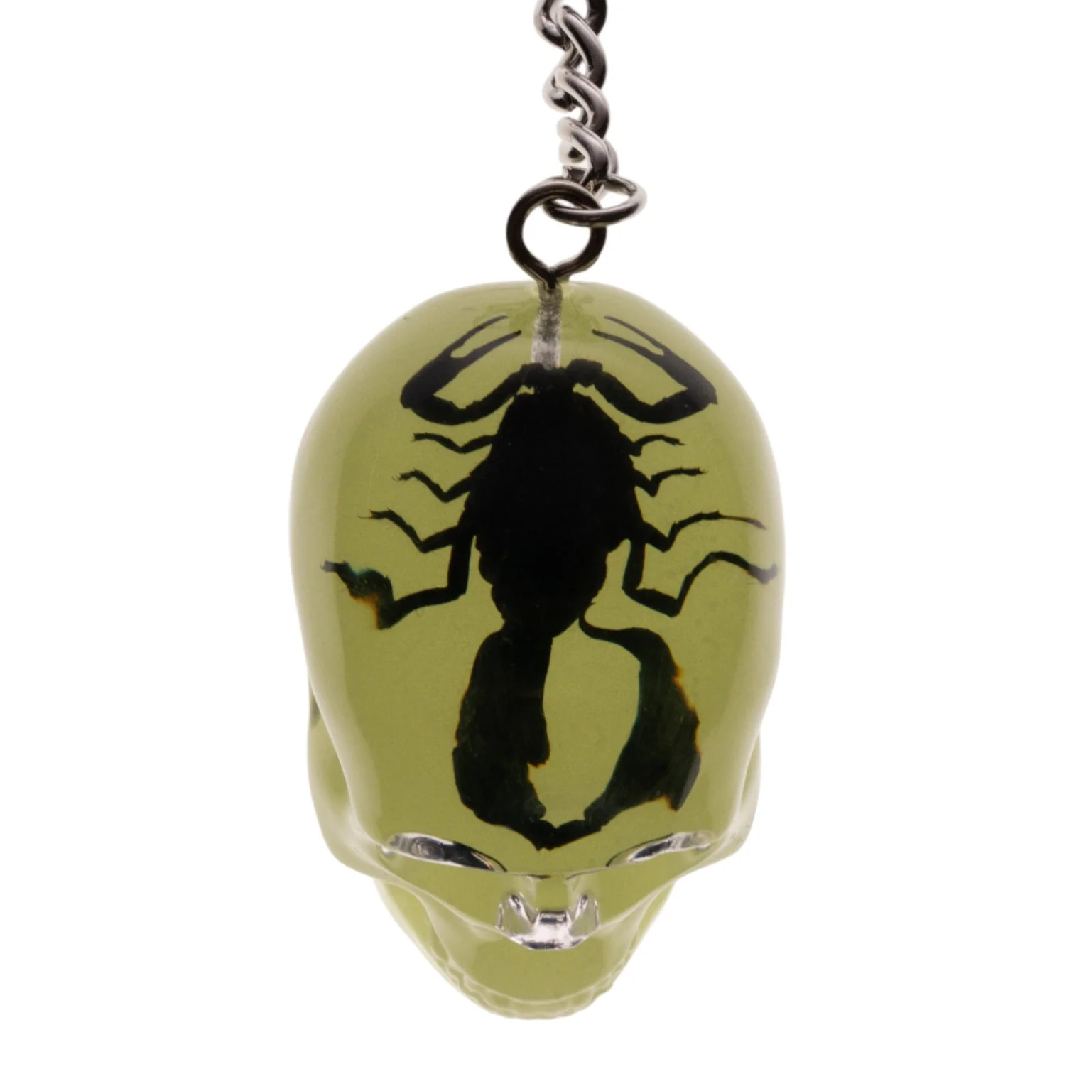 Real Black Scorpion in Acrylic Skull Keychain - Glow - Image 3
