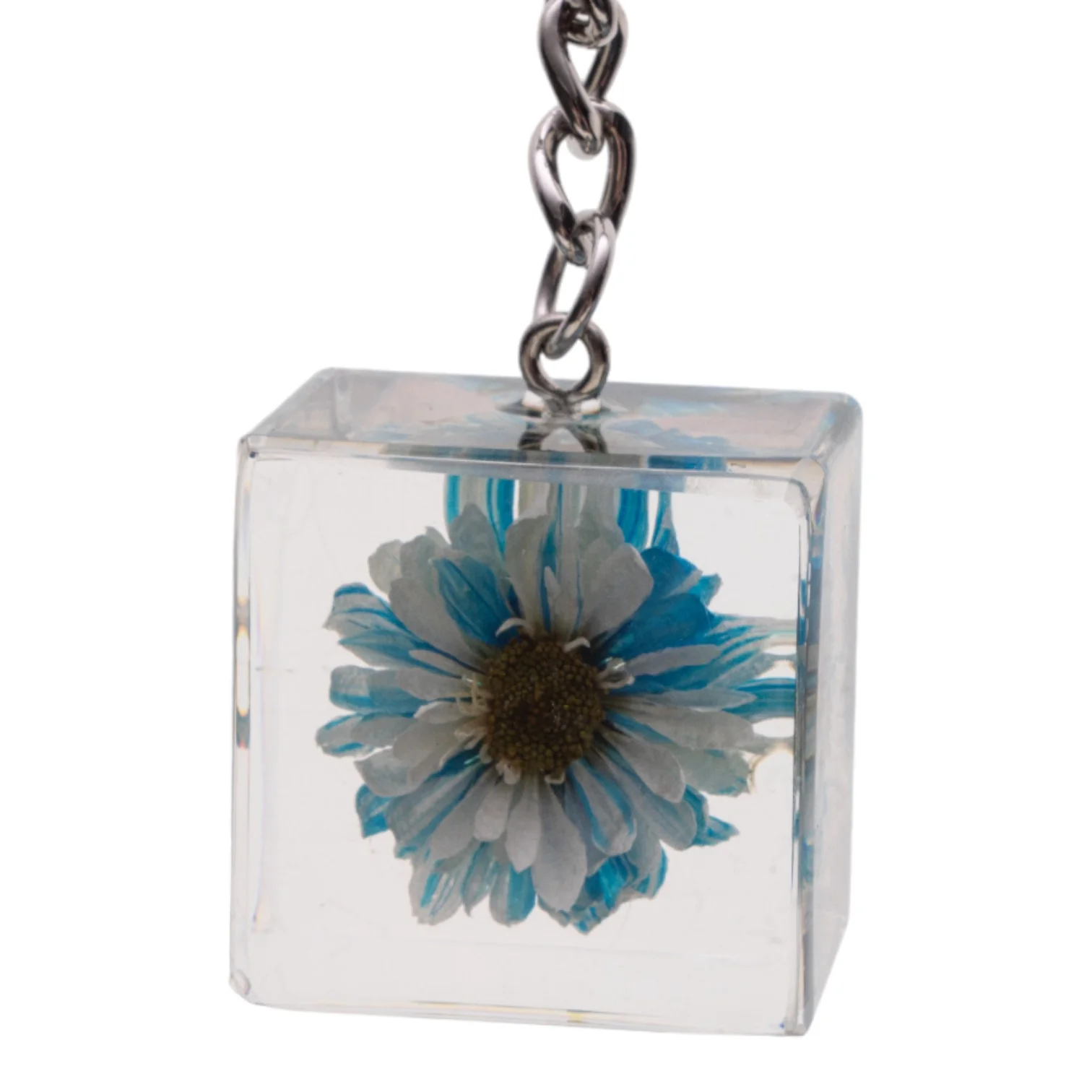 Real Daisy in Acrylic Cube Keychain - Blue - Image 5