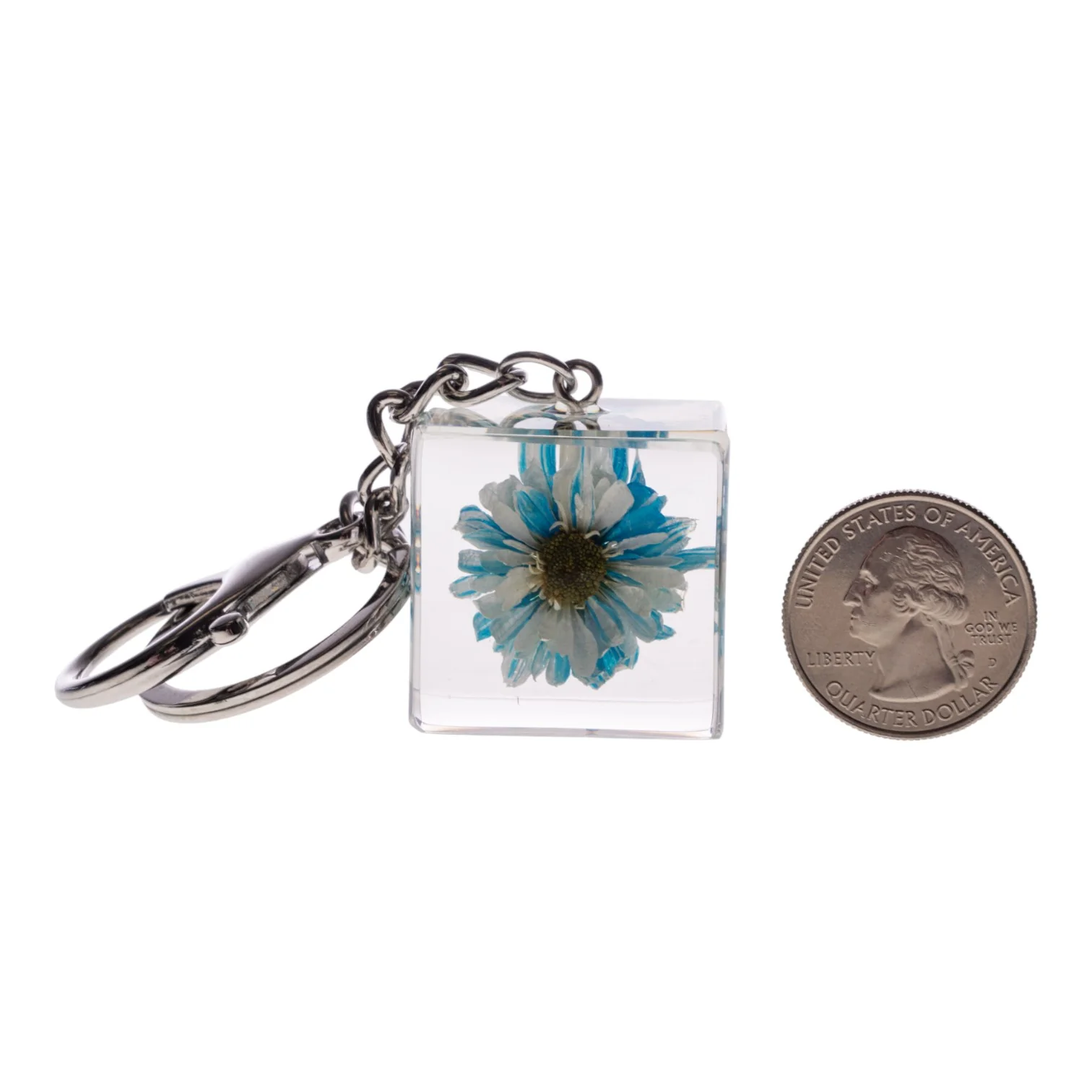 Real Daisy in Acrylic Cube Keychain - Blue - Image 6