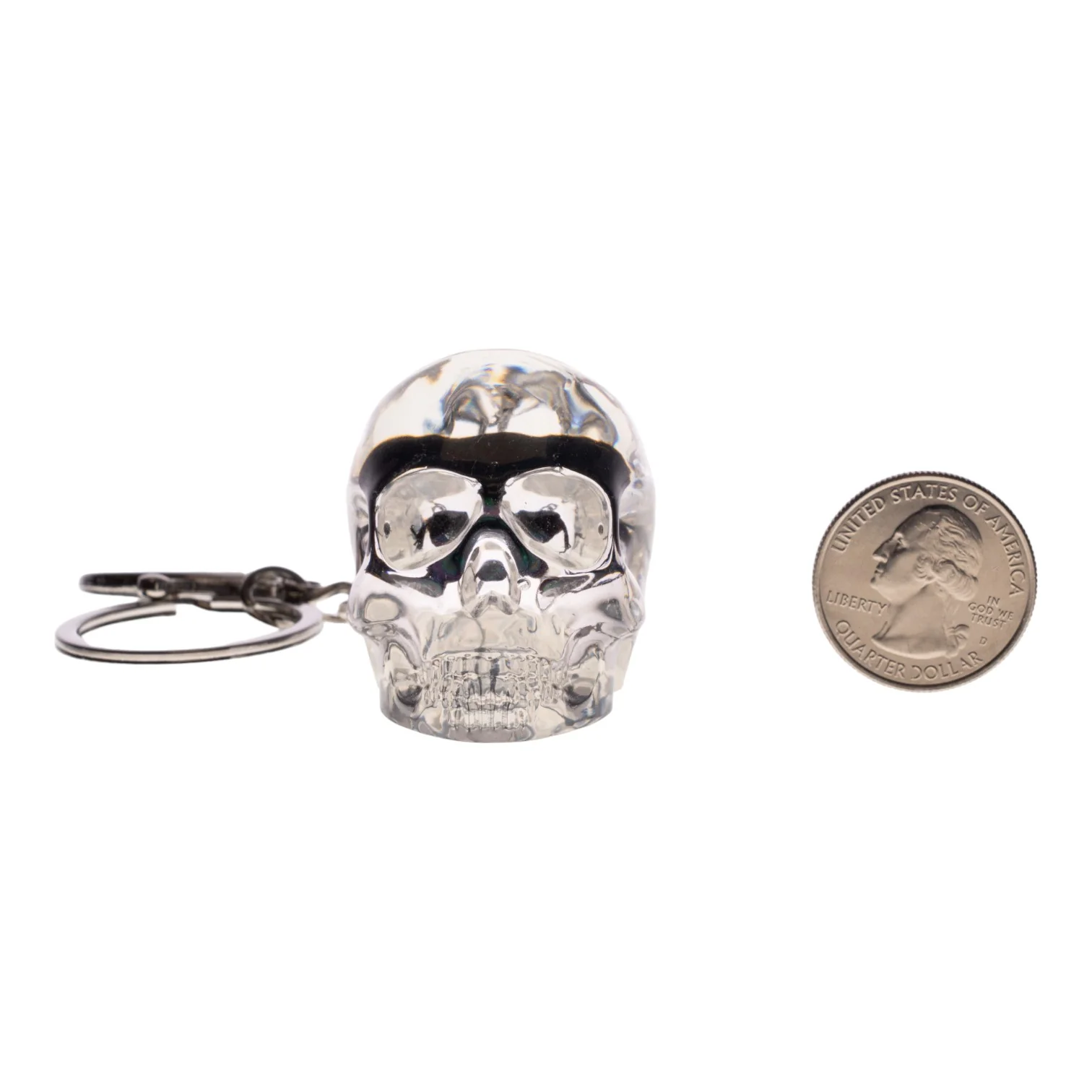 Real Chafer Beetle in Acrylic Skull Keychain - Image 5