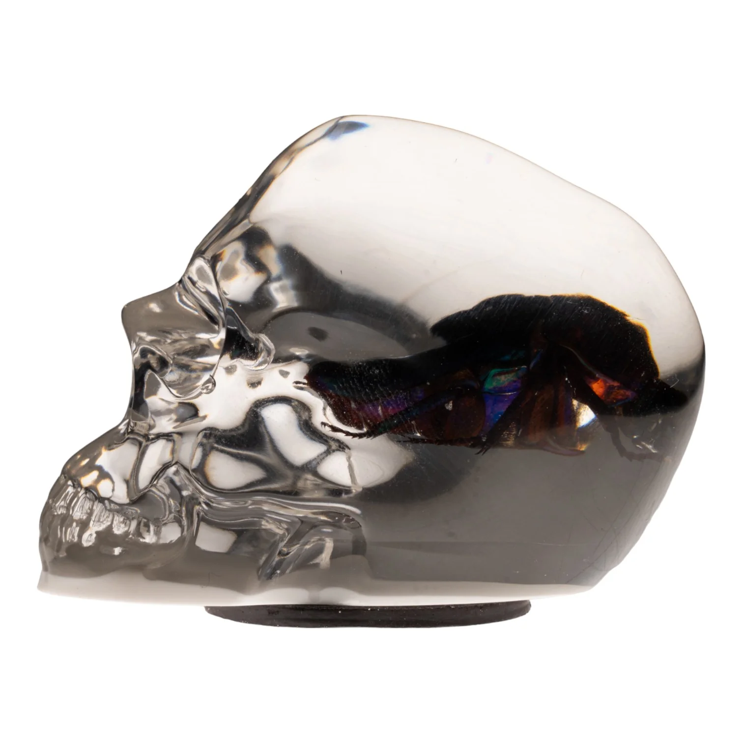 Real Green Rose Chafer Beetle in Acrylic Skull Magnet - Image 2