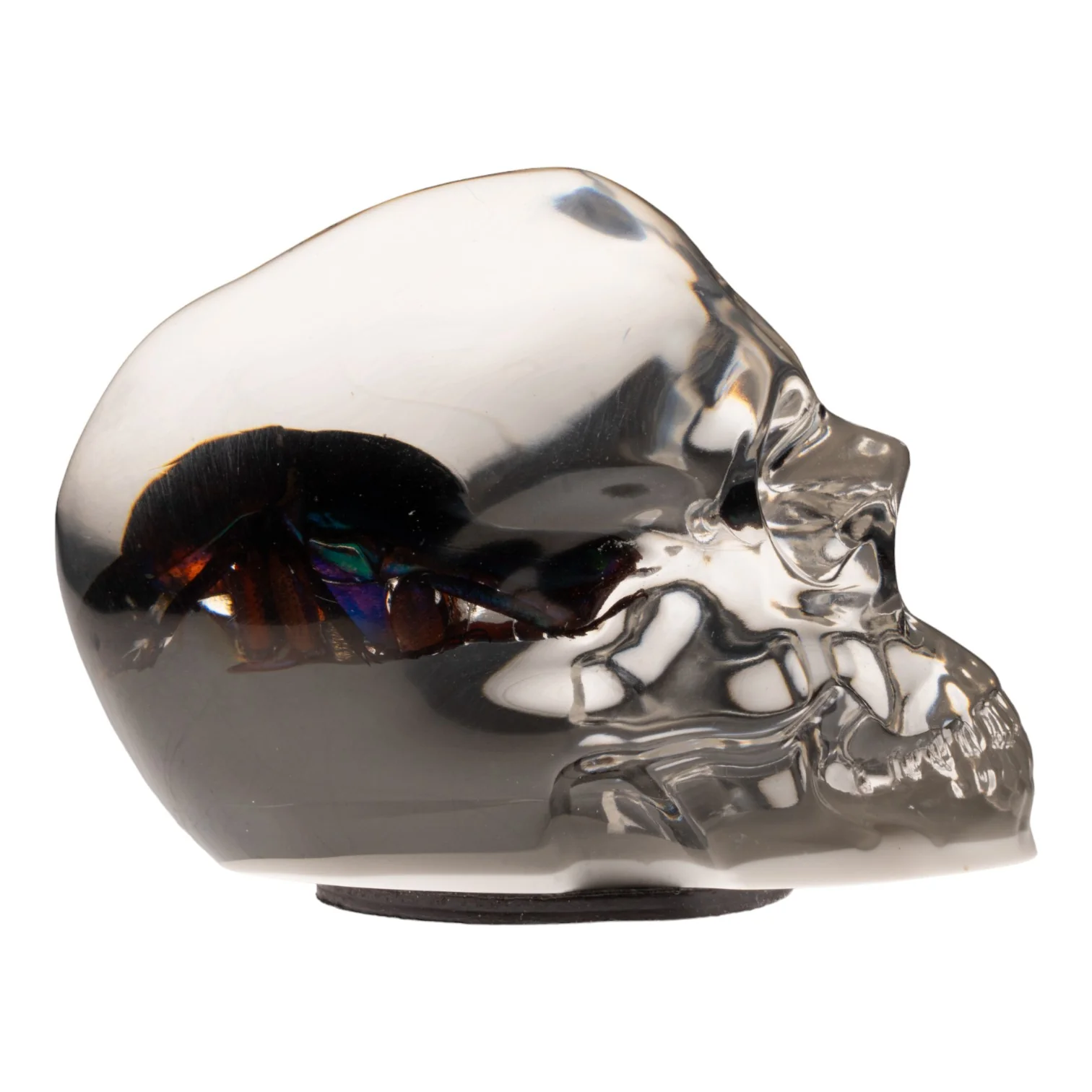 Real Green Rose Chafer Beetle in Acrylic Skull Magnet - Image 4