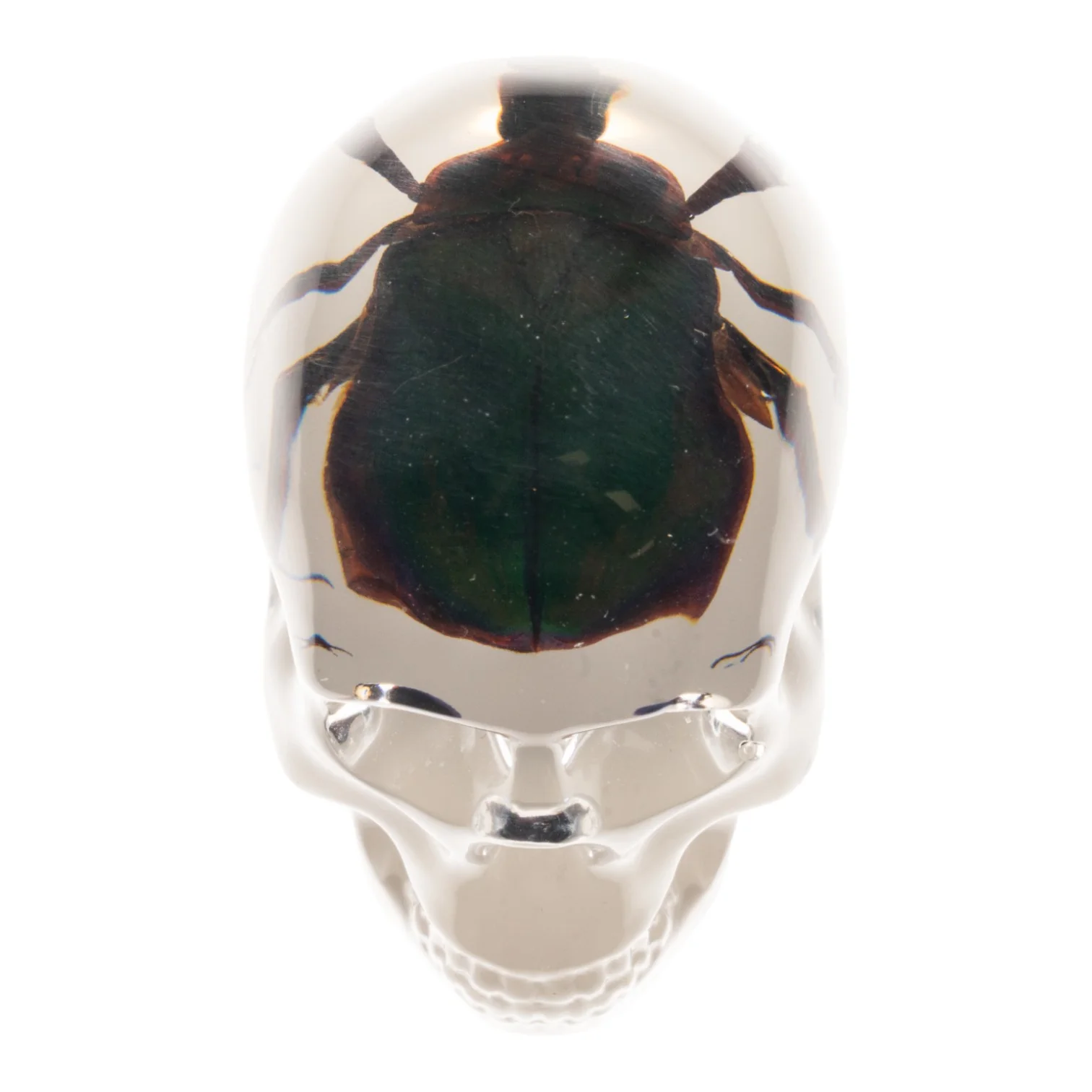 Real Green Rose Chafer Beetle in Acrylic Skull Magnet - Image 6