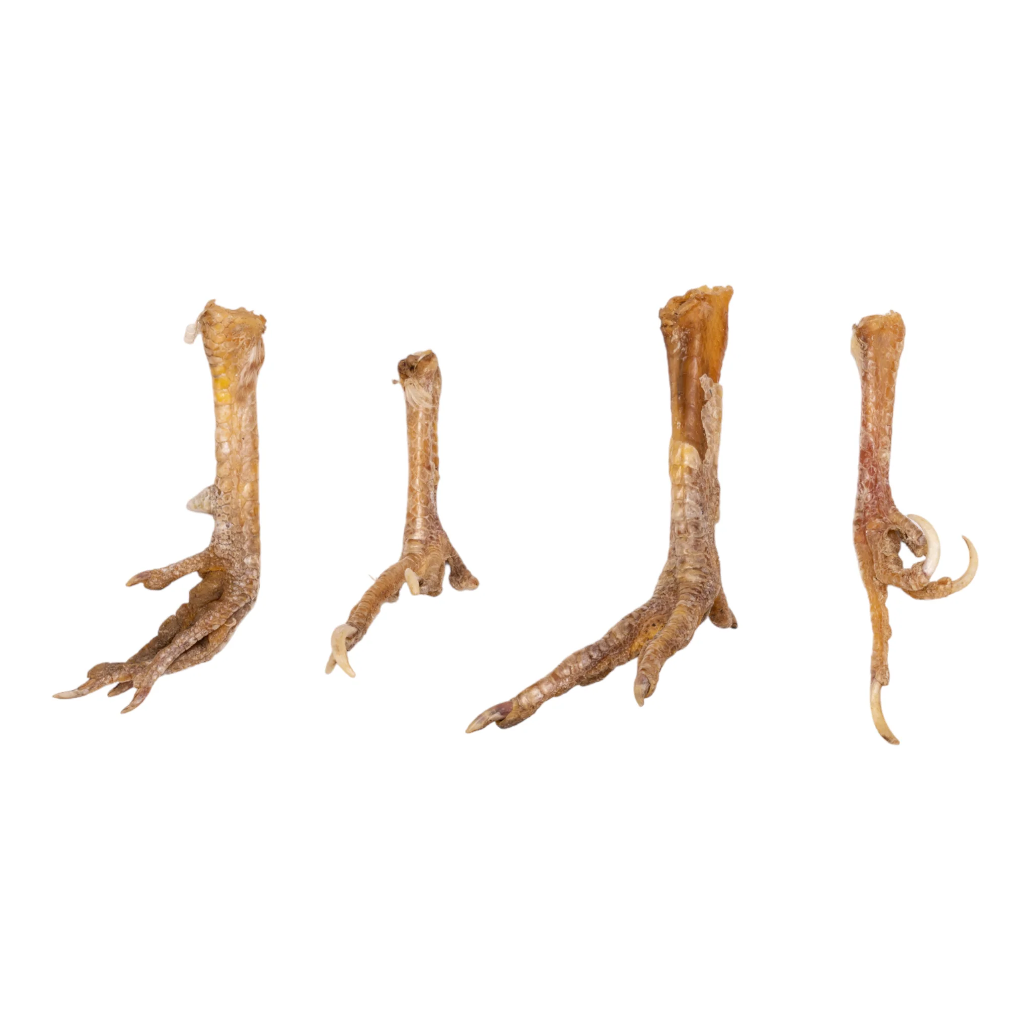 Real Chicken Foot - Single - Image 2