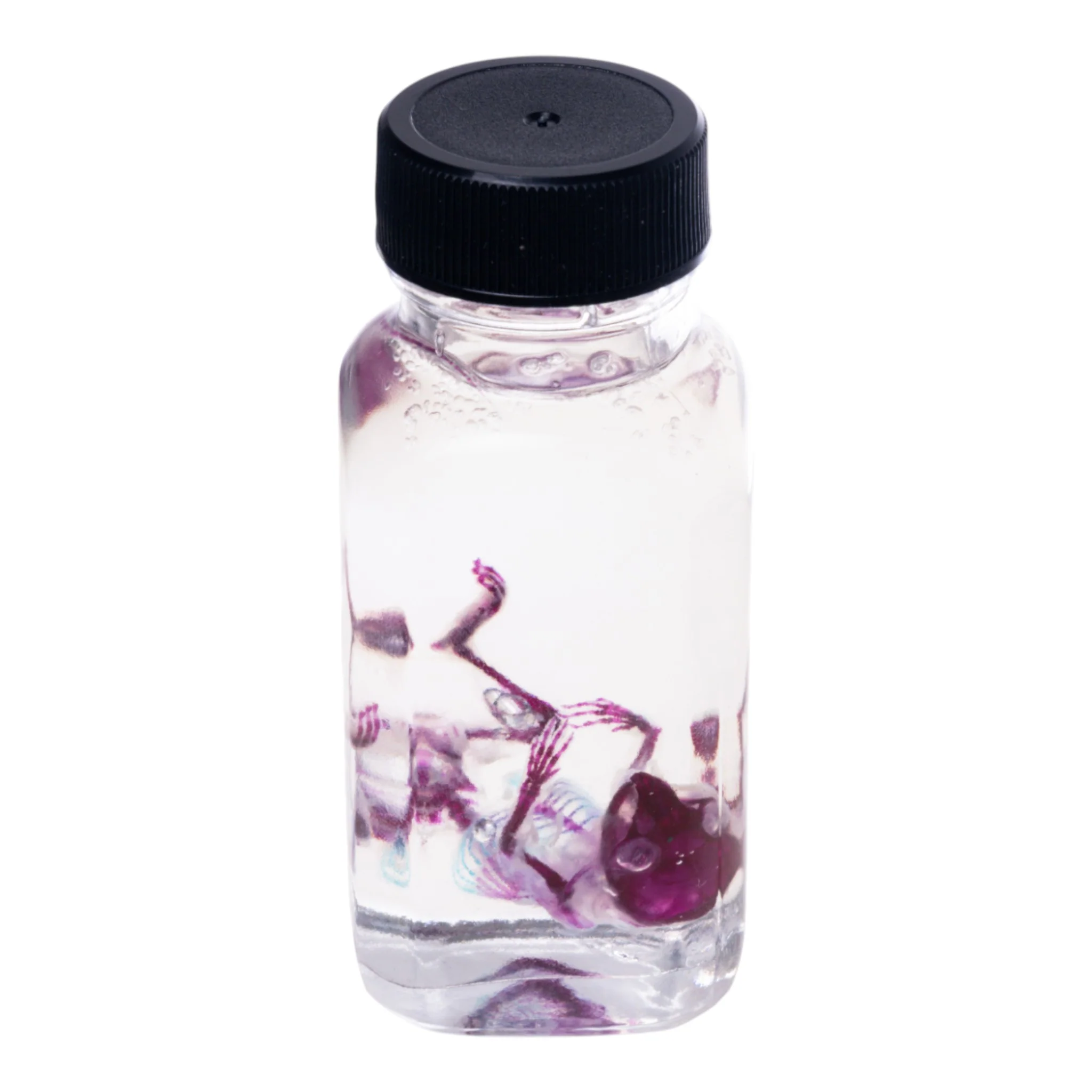 Real Diaphonized Mouse Skeleton - Image 5