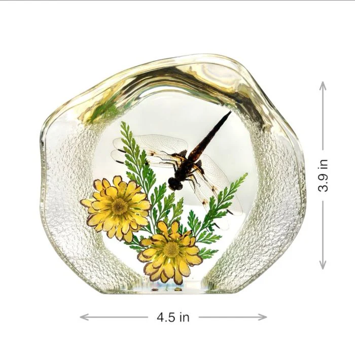 Real Dragonfly with Flowers Round Paperweight - Image 2