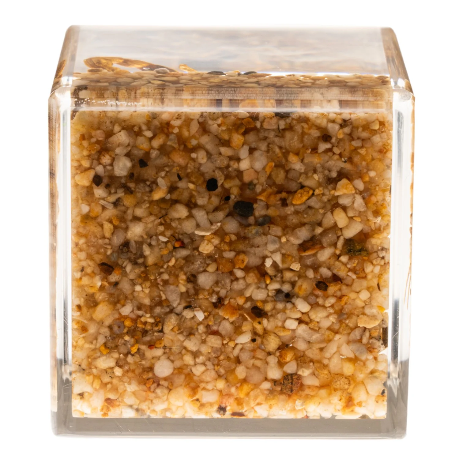 Real Golden Scorpion in Acrylic Cube - Image 6
