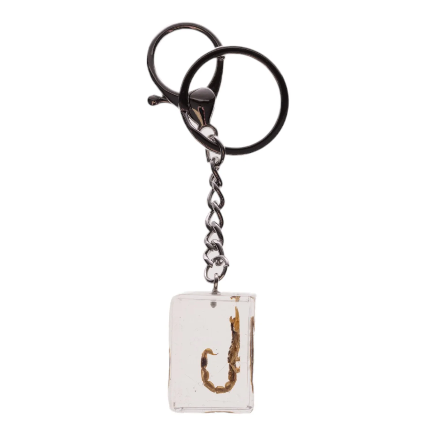 Real Golden Scorpion in Acrylic Cube Keychain - Image 2