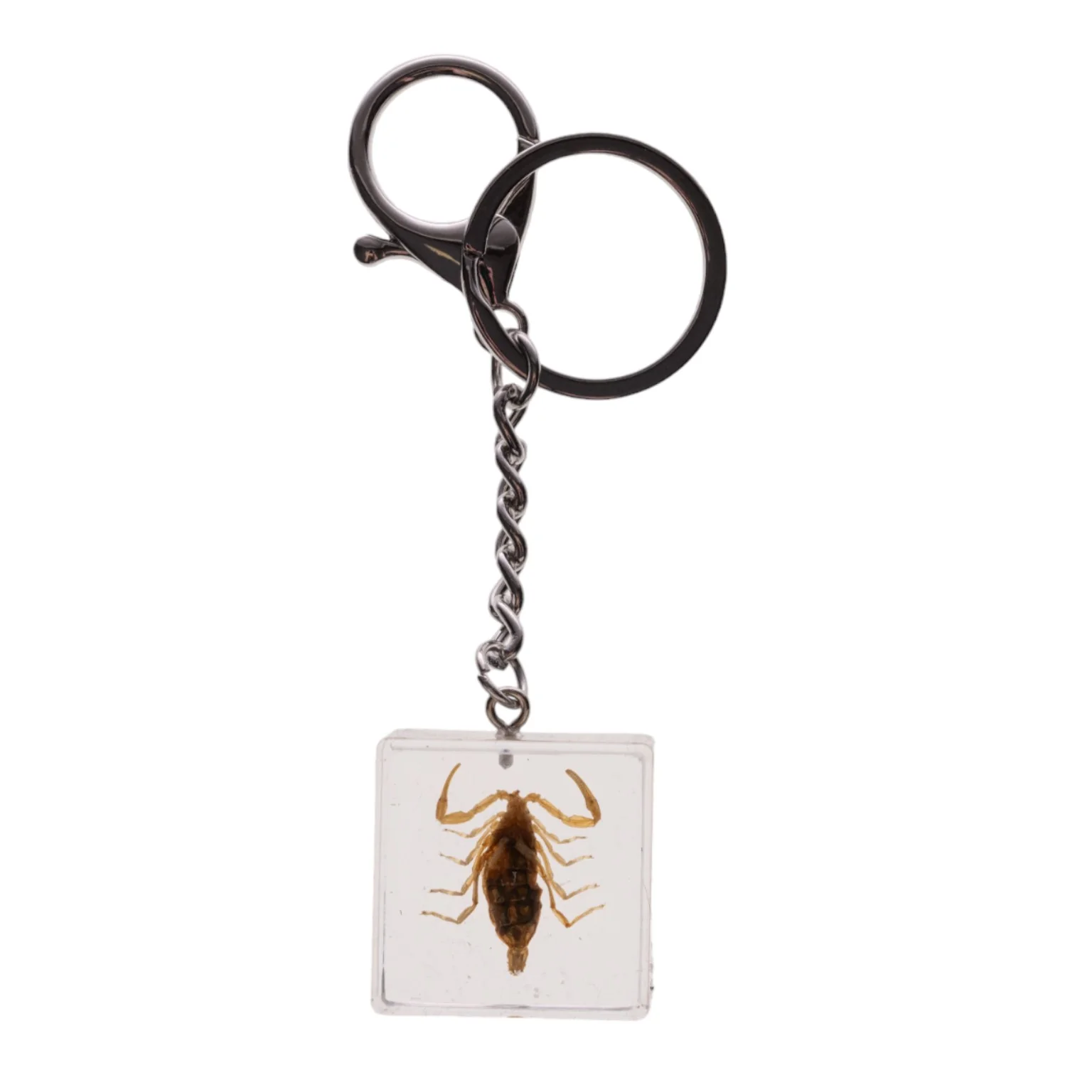 Real Golden Scorpion in Acrylic Cube Keychain - Image 3