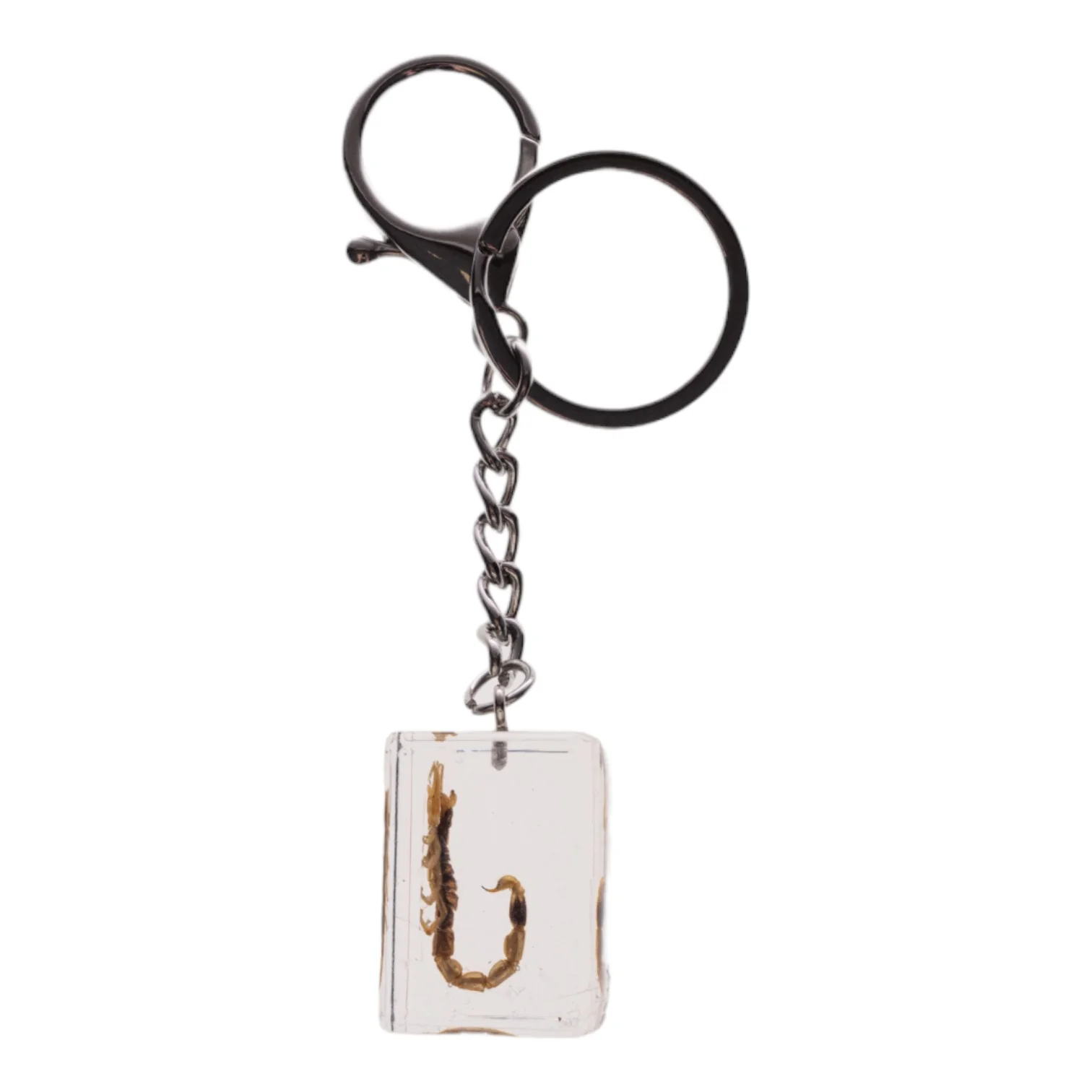 Real Golden Scorpion in Acrylic Cube Keychain - Image 4