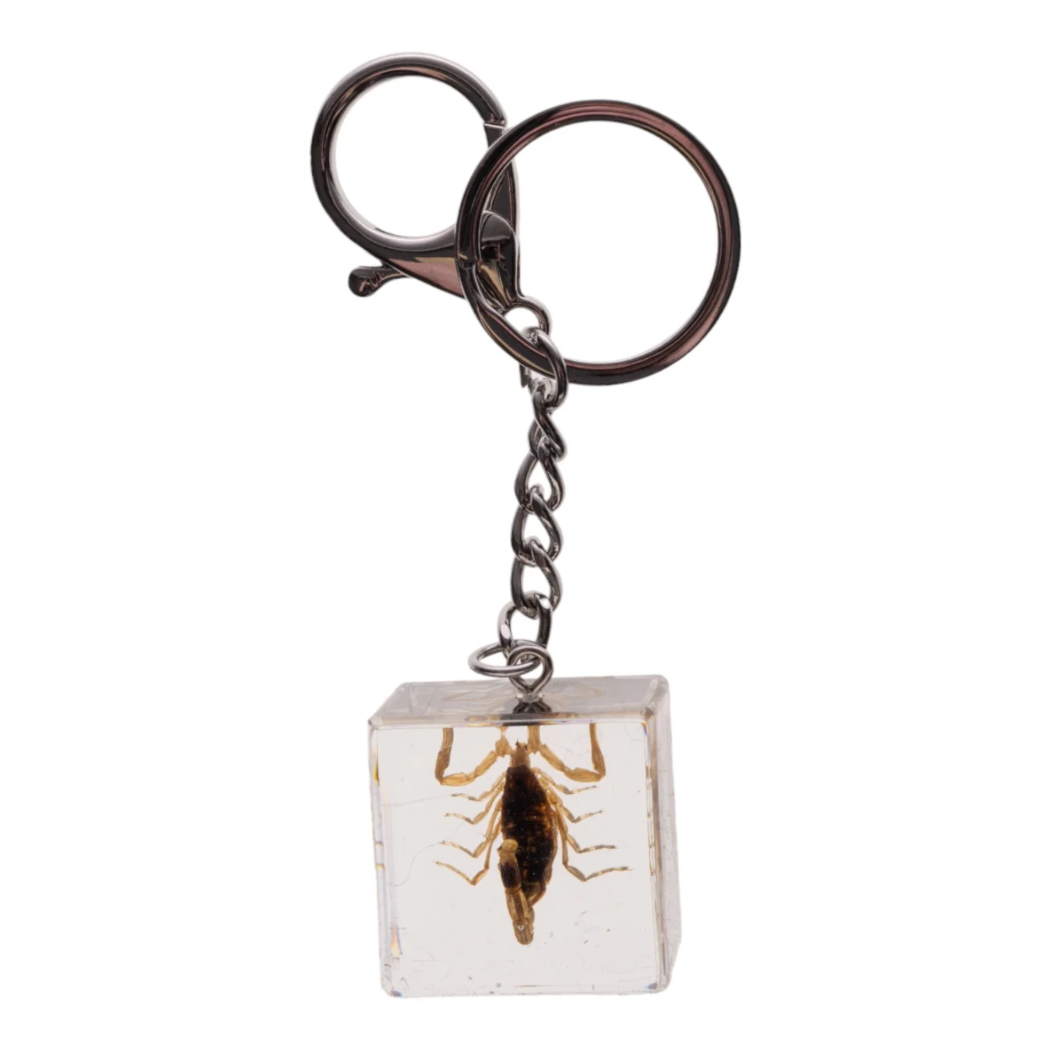 Real Golden Scorpion in Acrylic Cube Keychain - Image 5