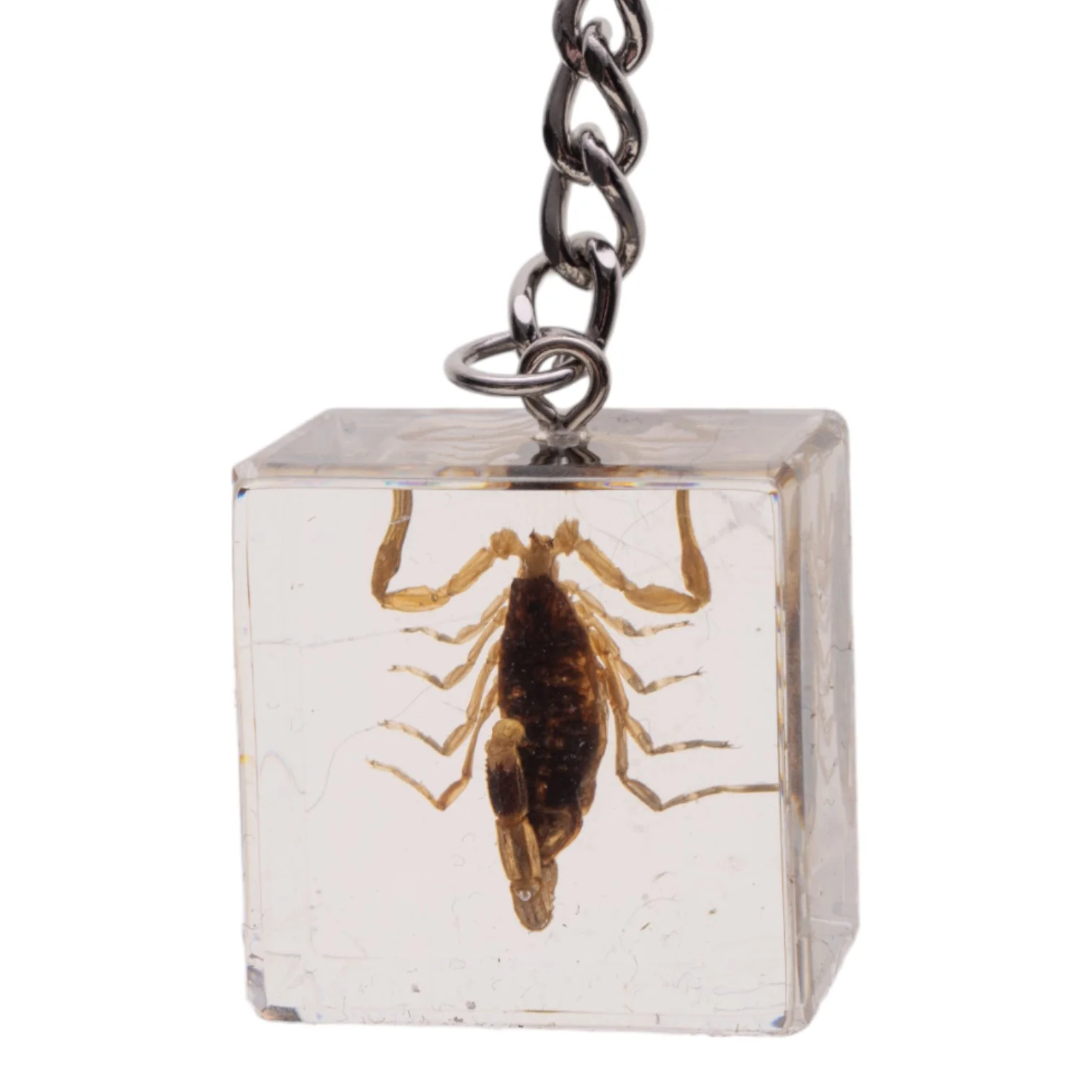 Real Golden Scorpion in Acrylic Cube Keychain - Image 6
