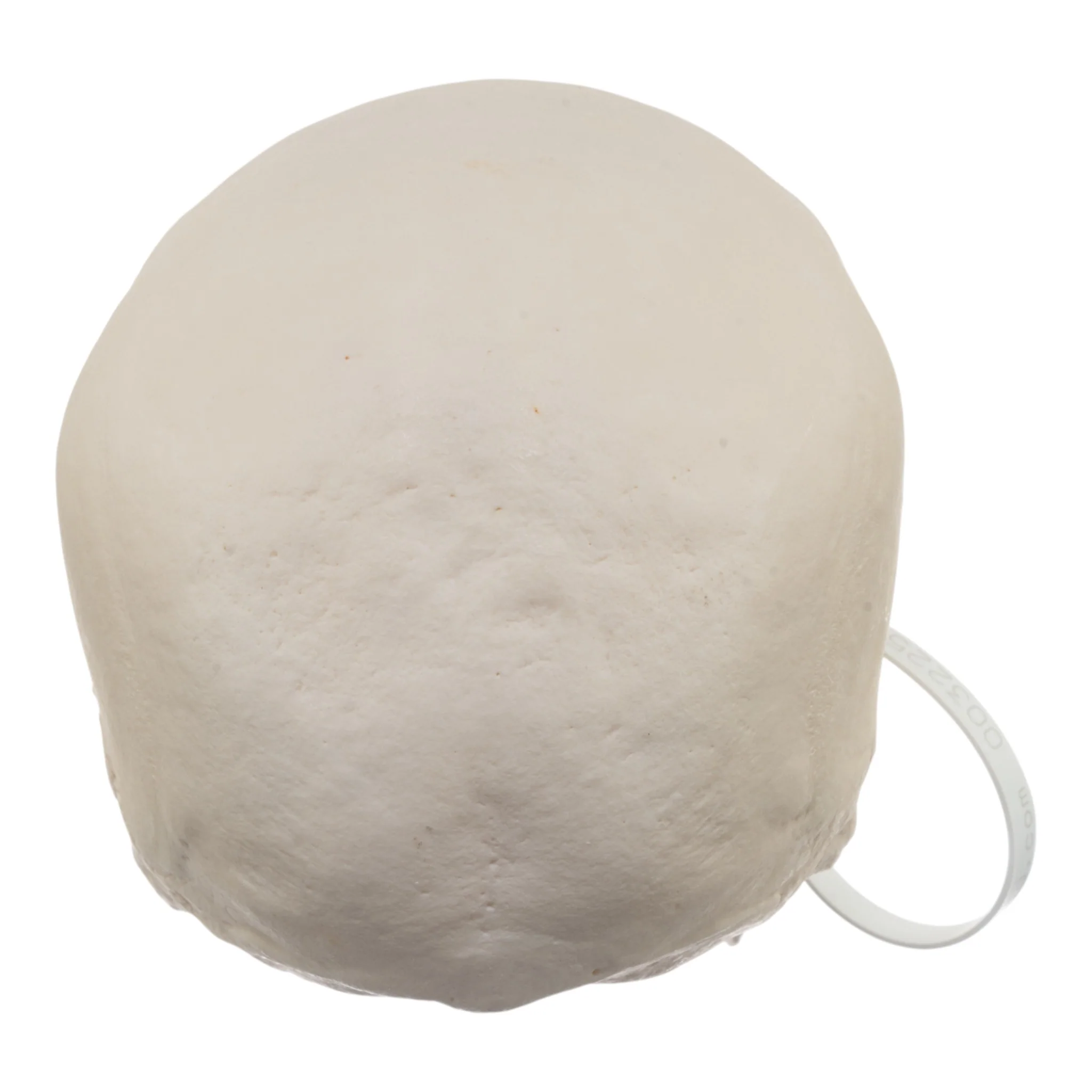 Real Research Quality Human Skull - Image 6