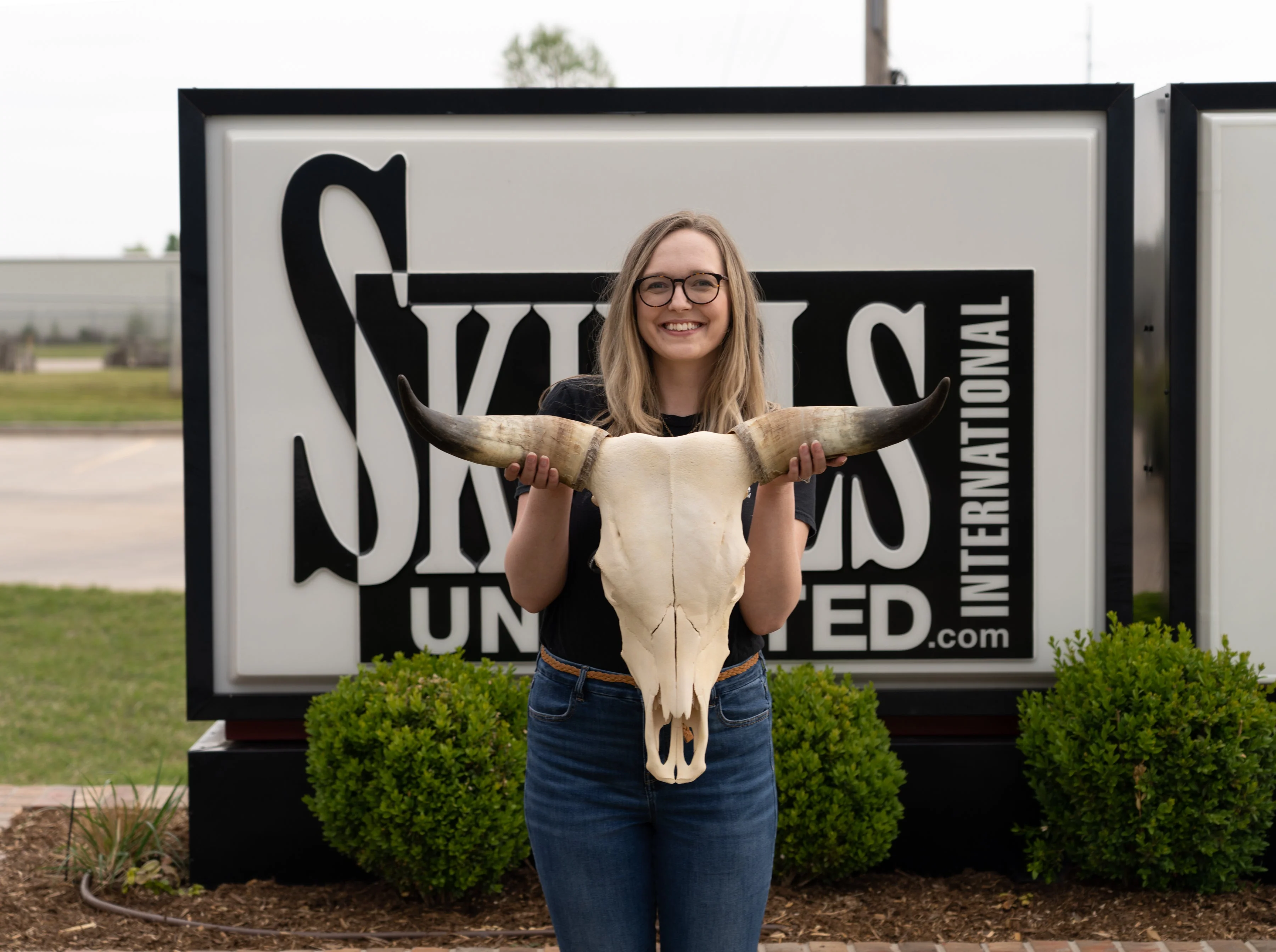 Real Longhorn Skull - Standard Quality - Image 2