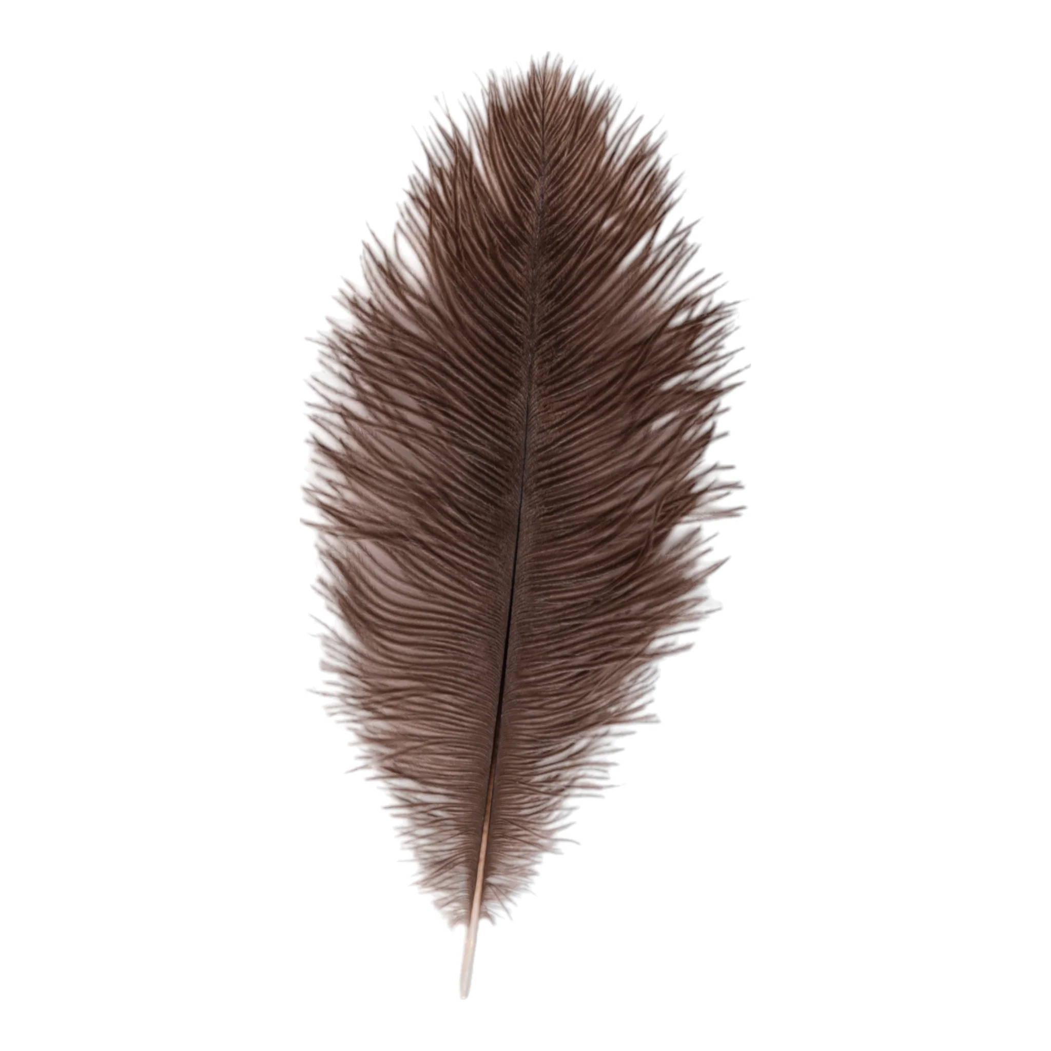 Real Ostrich Feather - Single - Image 3