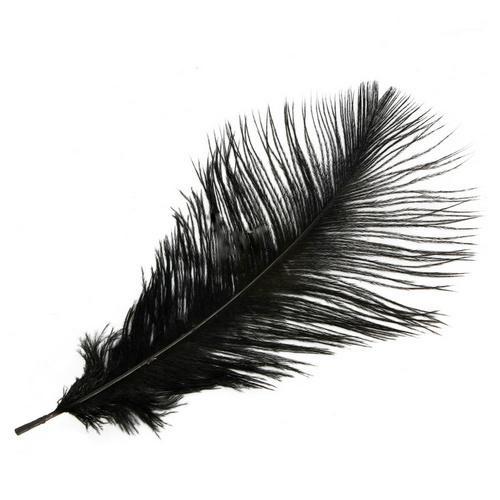Real Ostrich Feather - Single - Image 5