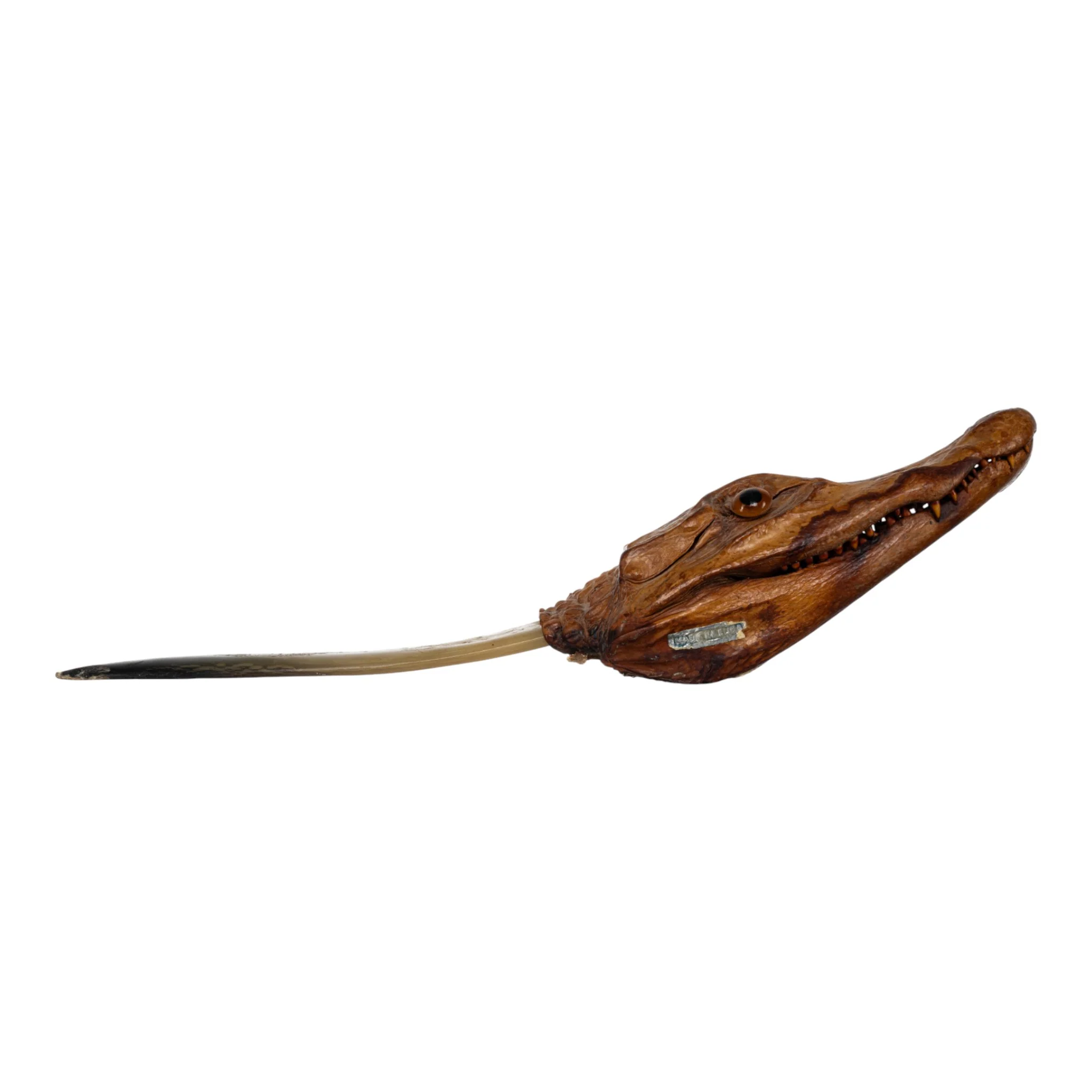 Real Spectacled Caiman Taxidermy Letter Opener - Image 2