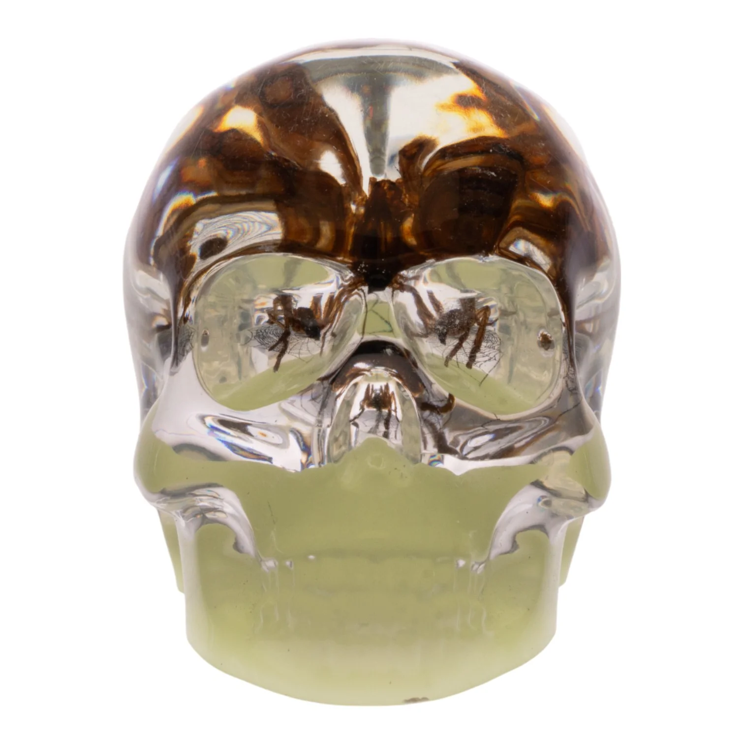 Real Spider in Acrylic Skull Keychain - Glow - Image 2