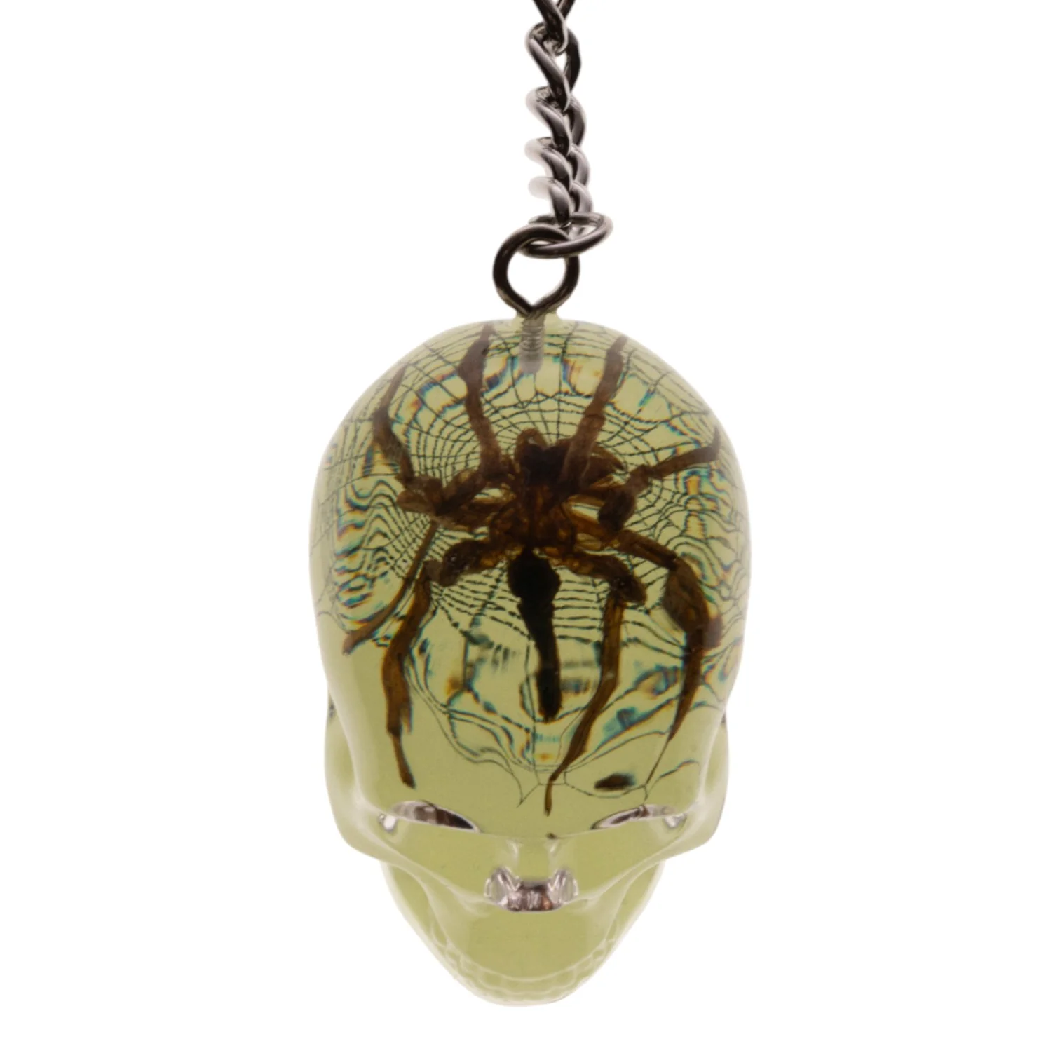 Real Spider in Acrylic Skull Keychain - Glow - Image 3