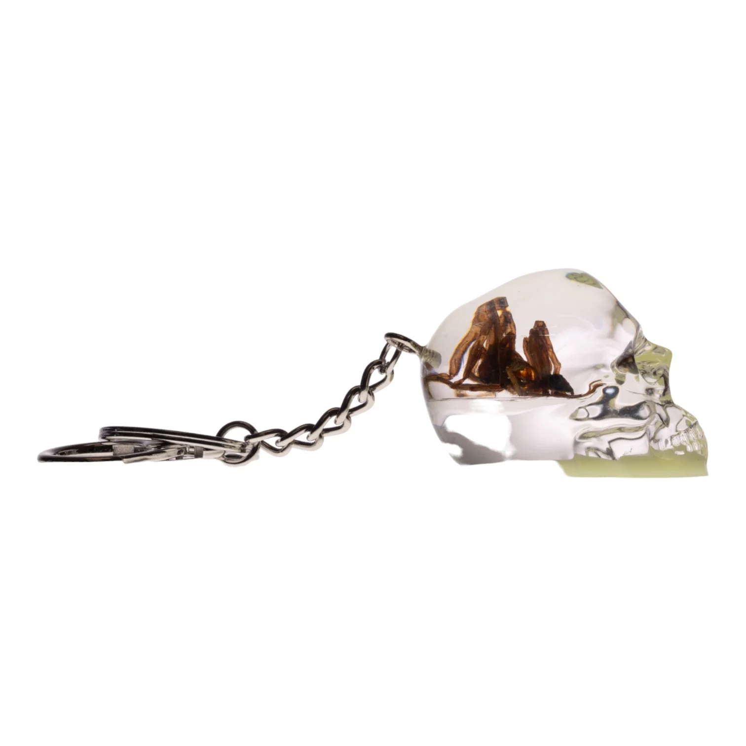Real Spider in Acrylic Skull Keychain - Glow - Image 4