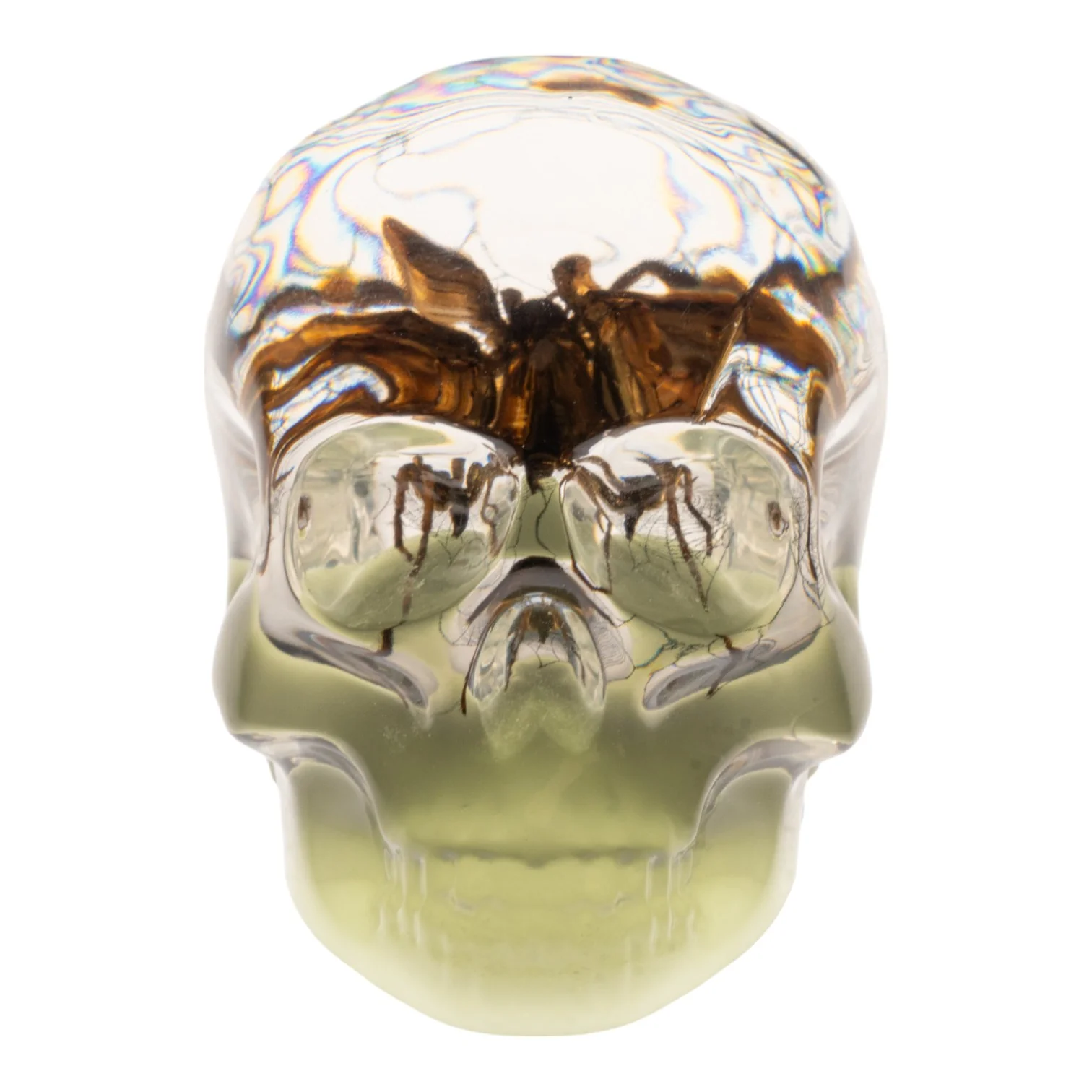 Real Spider and Web in Acrylic Skull Magnet - Glow - Image 3
