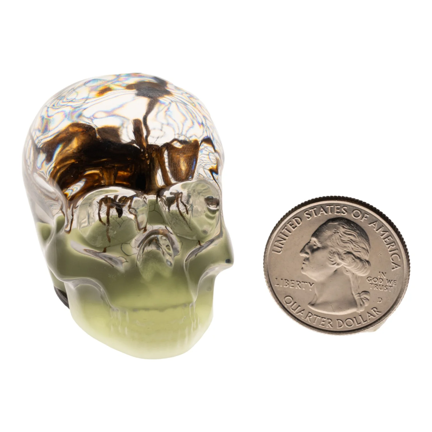 Real Spider and Web in Acrylic Skull Magnet - Glow - Image 8