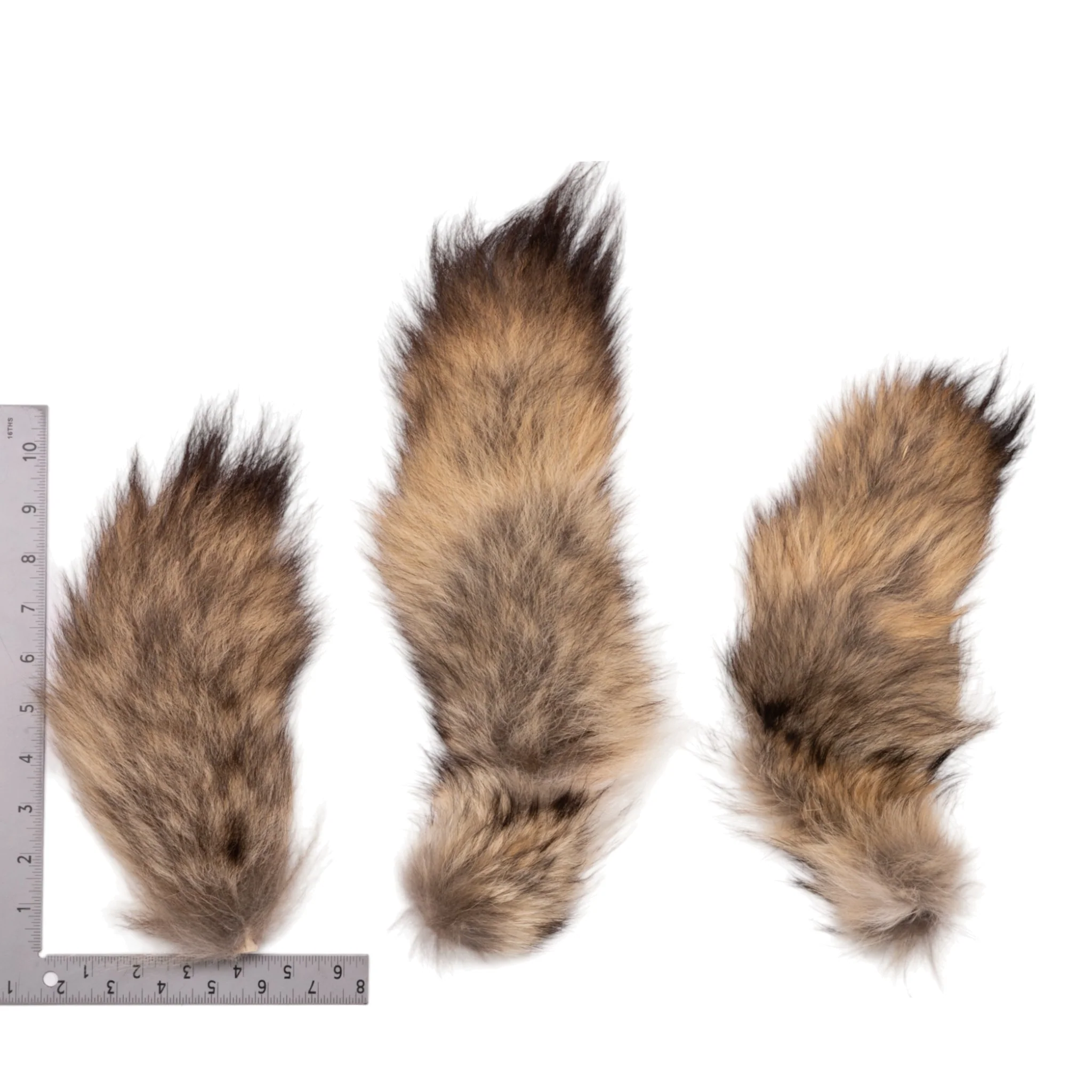 Real Tail Hide - Assorted Species (Single) - Image 2