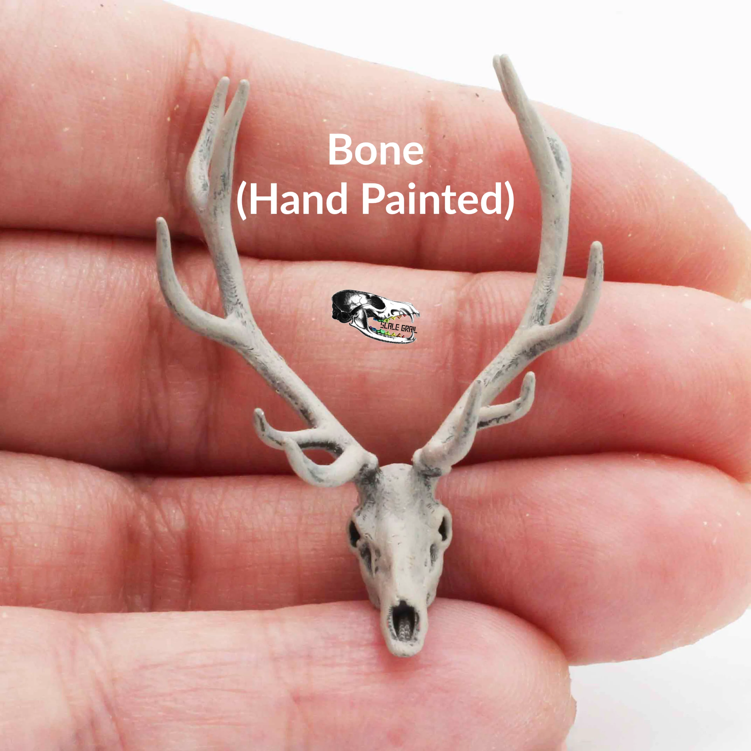 Red Deer Skull Replica - 1:24 Scale - Image 3