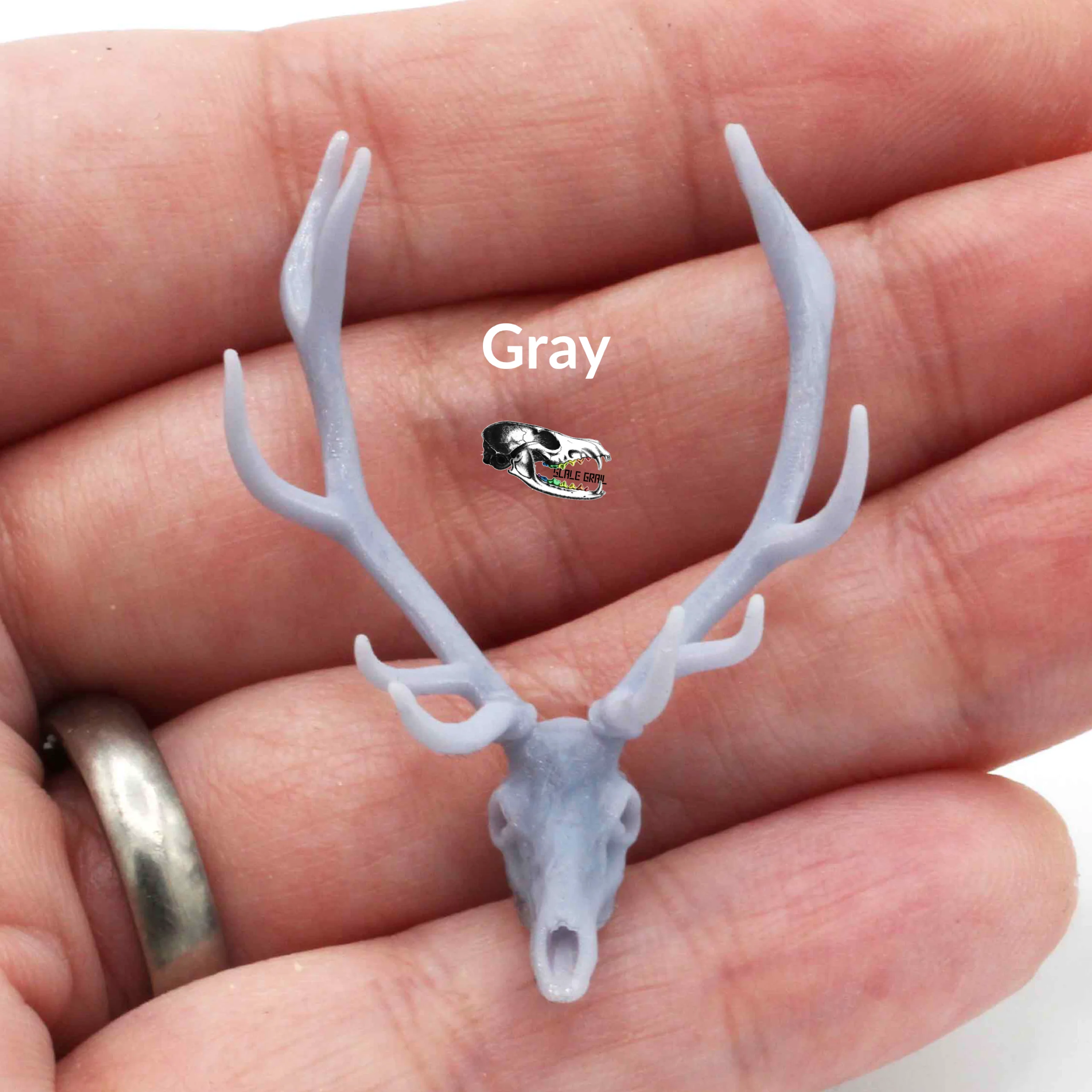 Red Deer Skull Replica - 1:24 Scale - Image 5