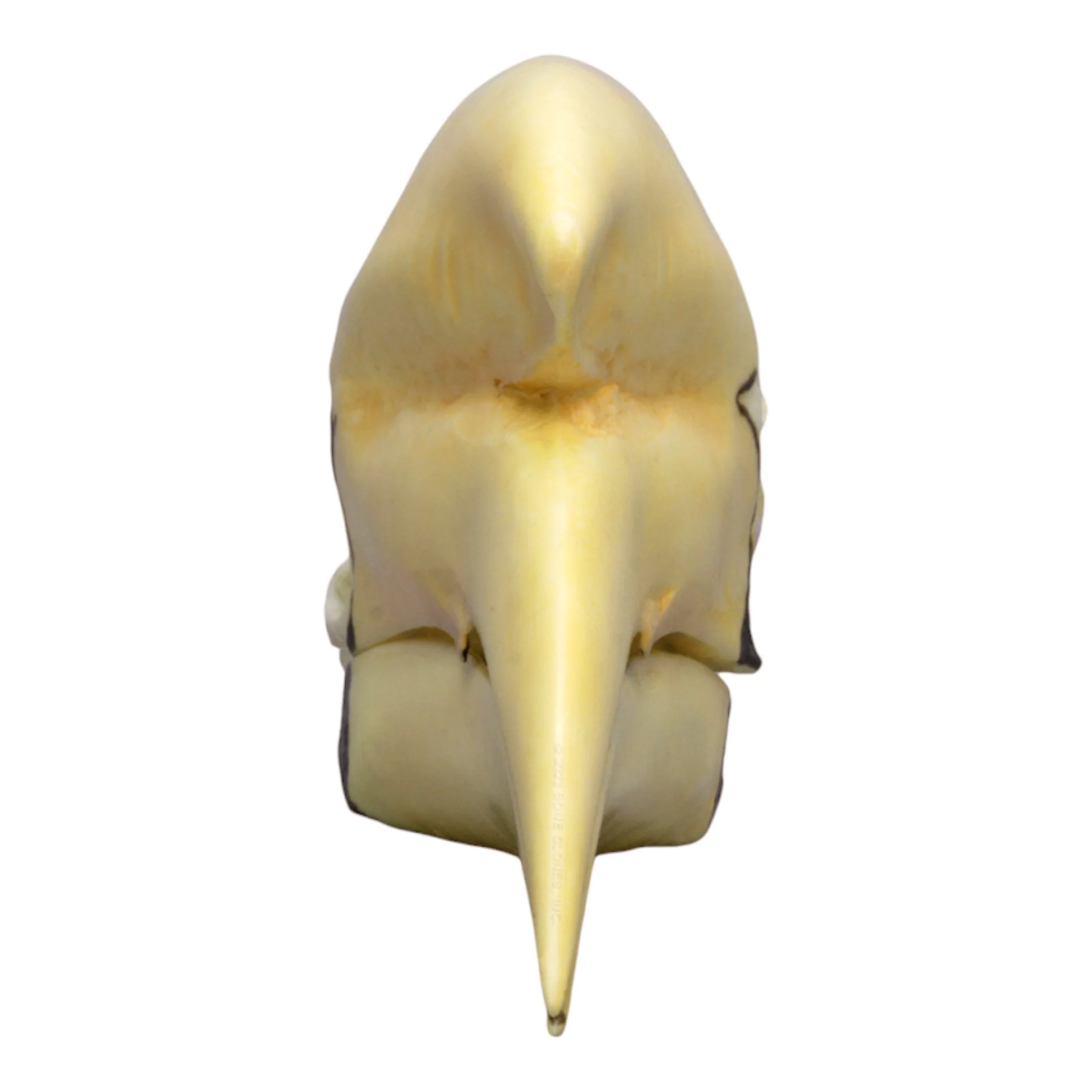 Replica Black Hornbill Skull - Image 3