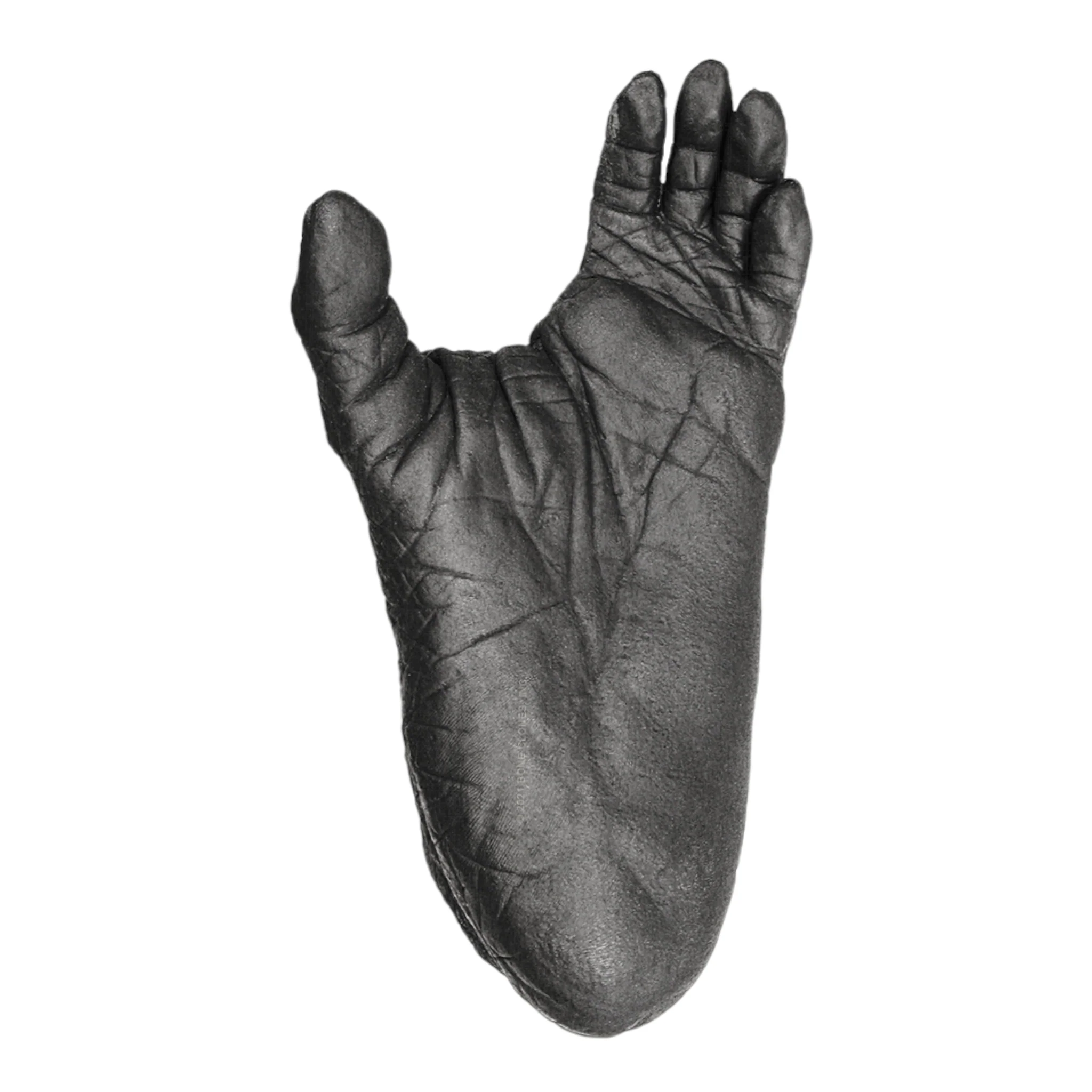 Replica Lowland Gorilla Left Foot - Female