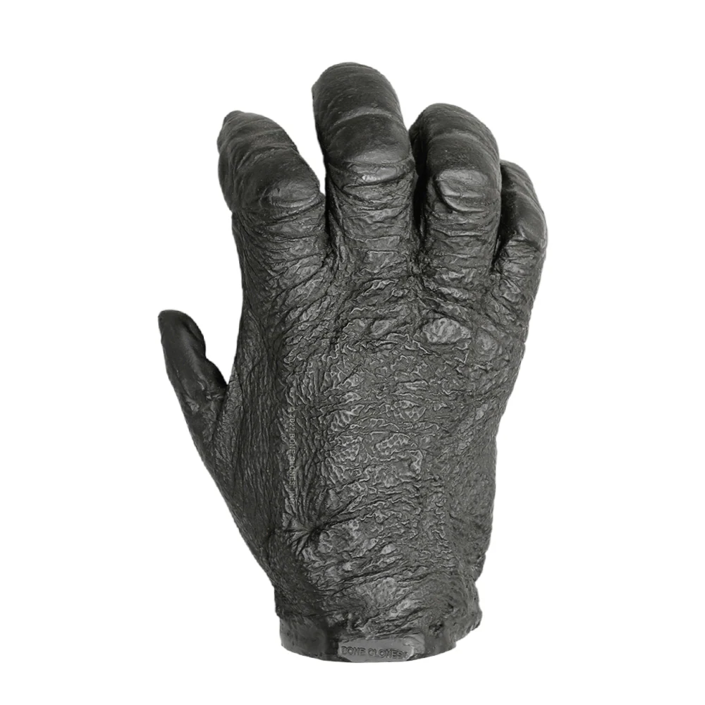 Replica Lowland Gorilla Right Hand - Female - Image 2