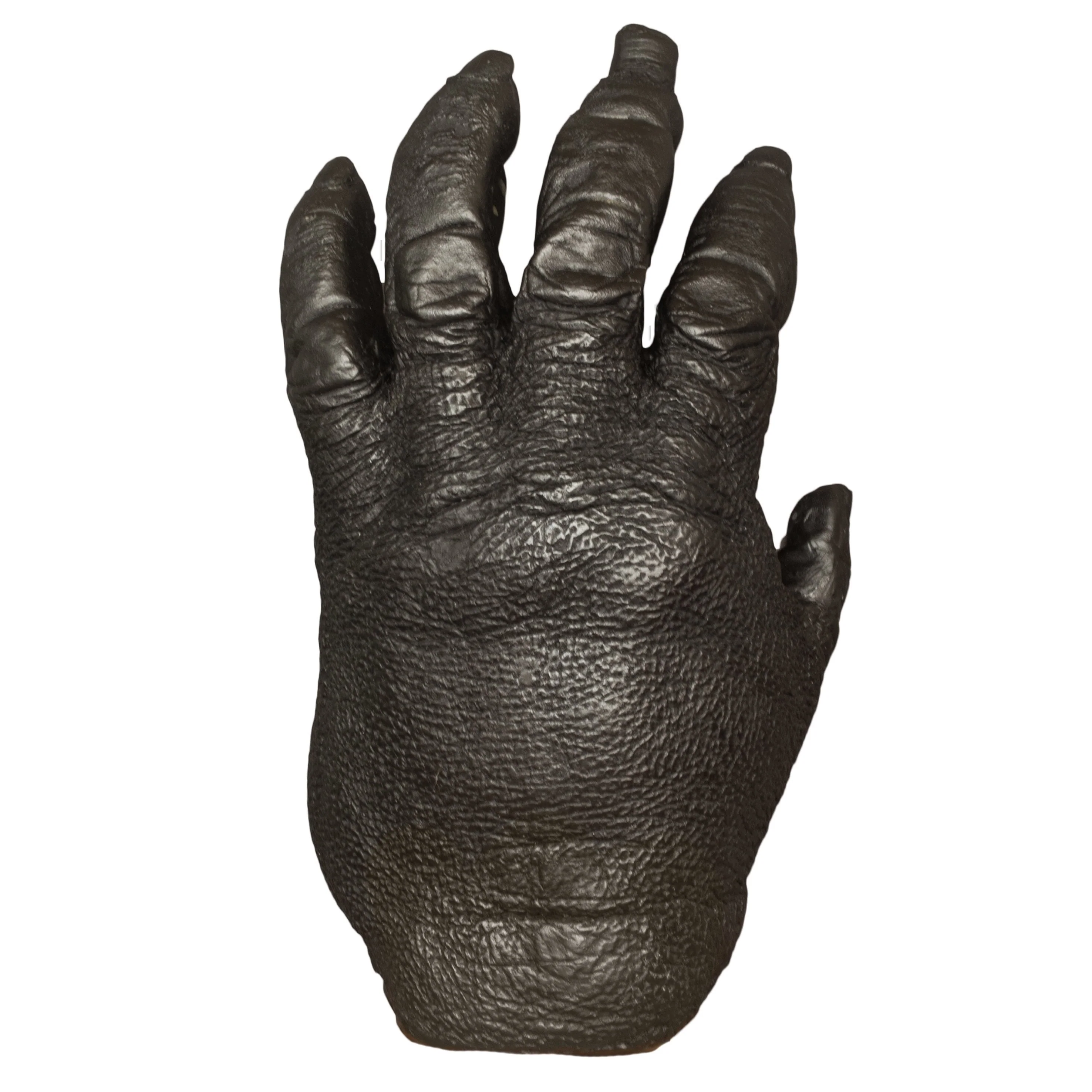Replica Lowland Gorilla Left Hand - Male - Image 2
