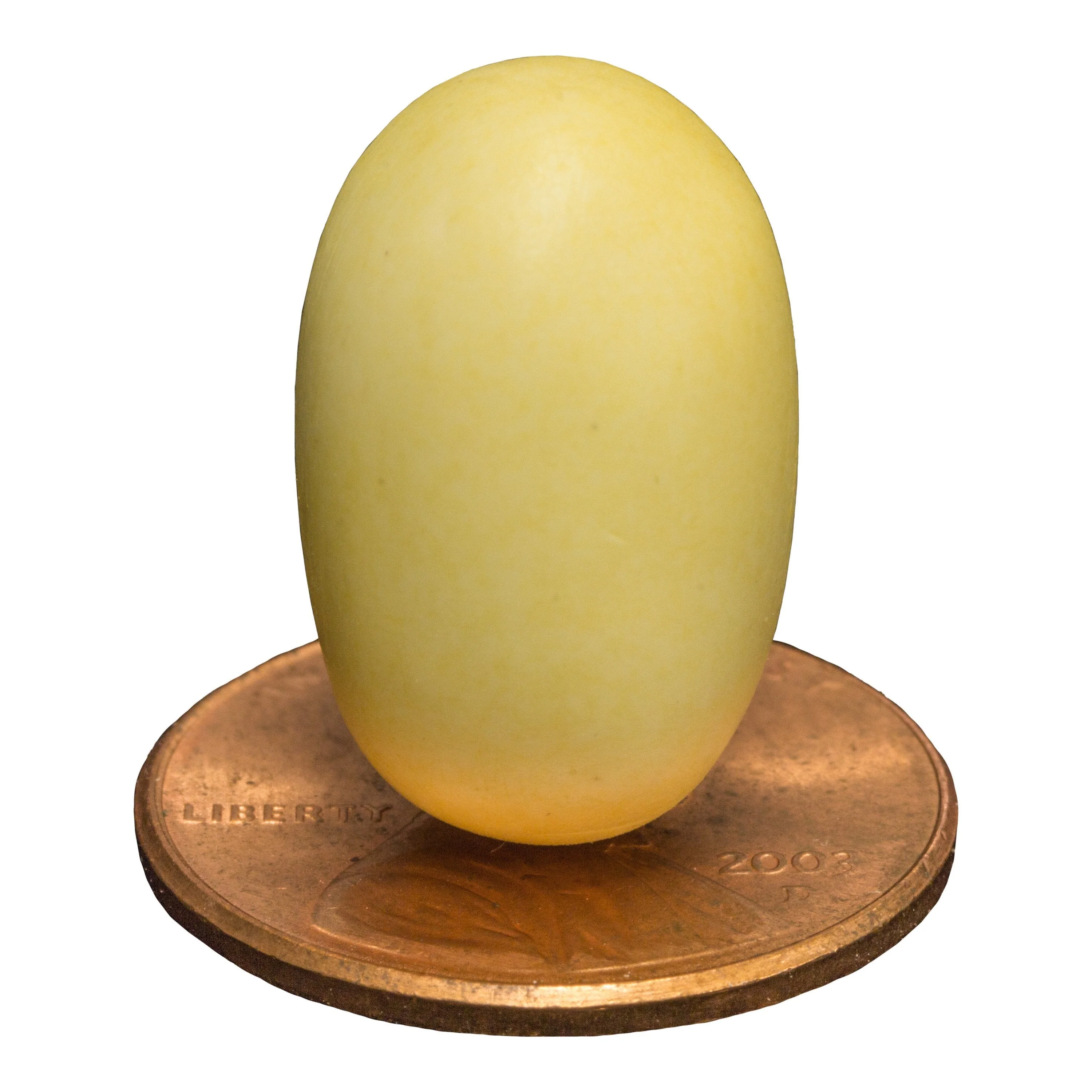 Replica Platypus Egg (19mm)