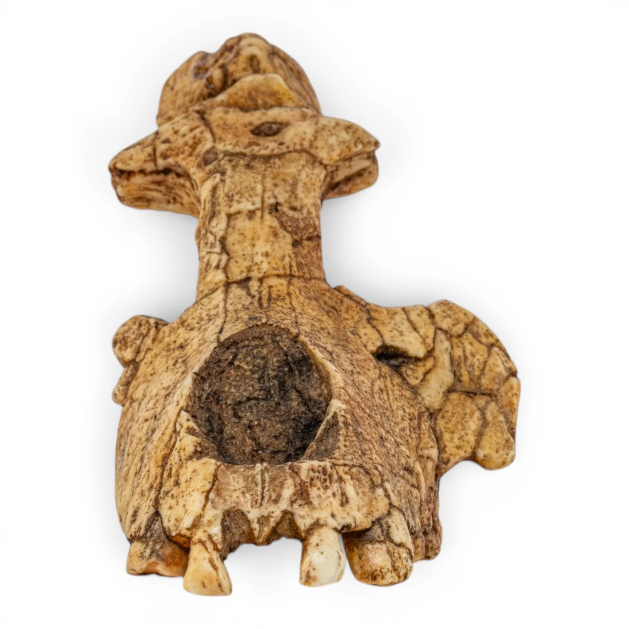 Replica Saadanius hijazensis Skull - Image 3